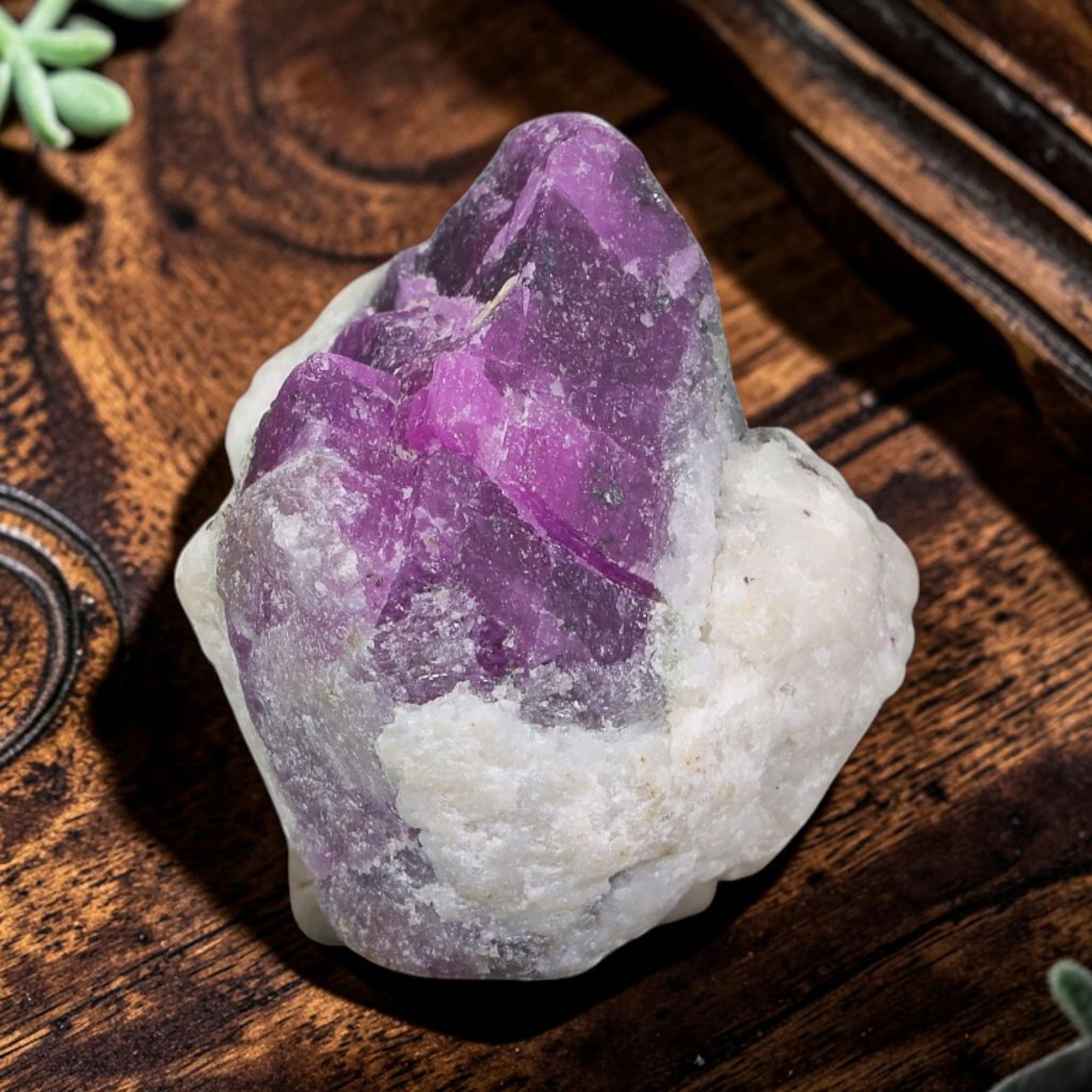 48.33ct Natural Mauritania Ruby Rough (Unheated), 59AT: Natural unheated corundum rough extracted from Mauritanian gem-bearing strata, showcasing well-defined blocky ruby crystalline clusters embedded within pale milky quartz gangue matrix. The specimen ex