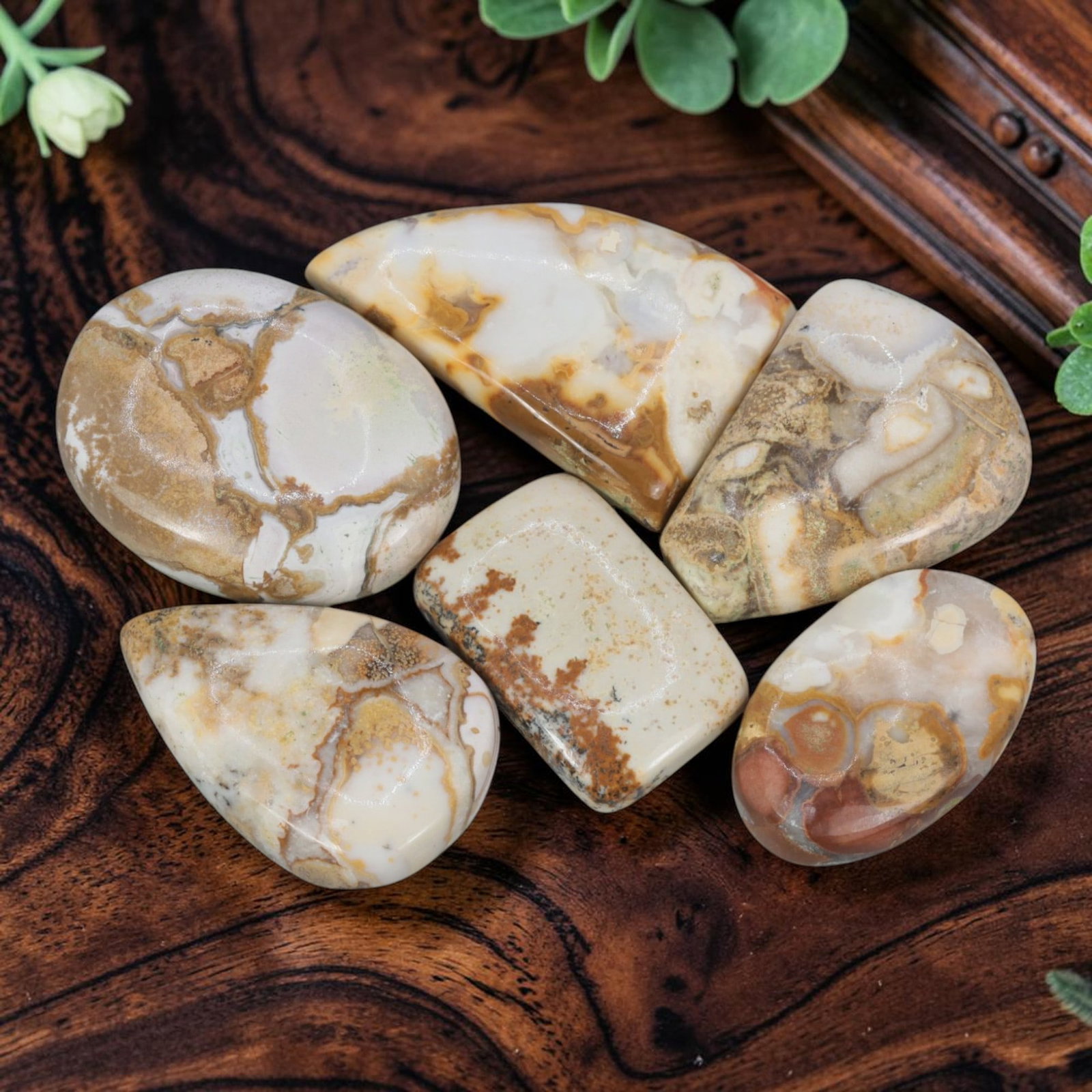 302 Carats Natural Snake Jasper Mixed Shape Cabochon Lot, 51WC: Let me share with you this really nice parcel of six polished snake jasper cabochons, each marked with totally unique natural earthy patterning. These little beauties have a soft creamy white base swi