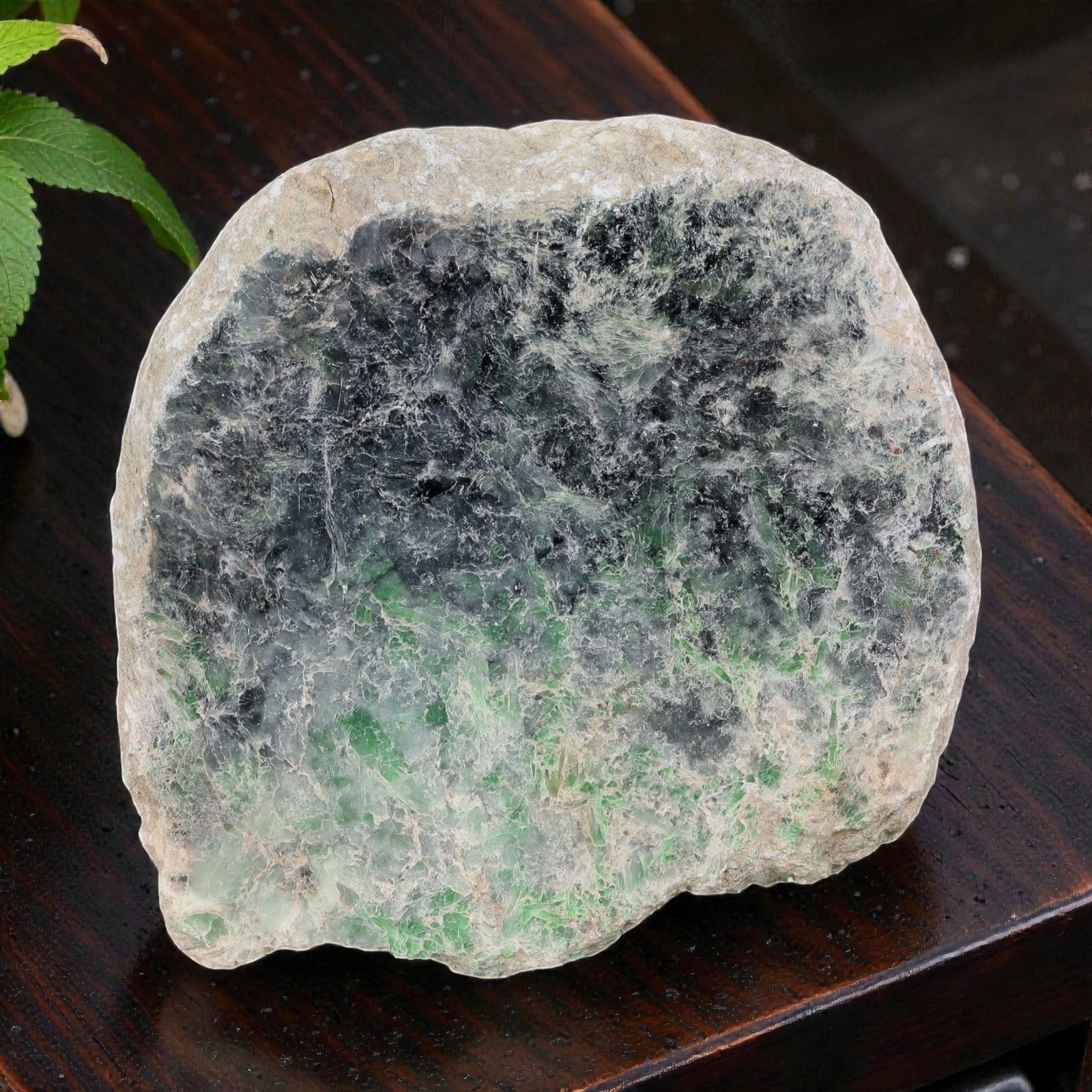 2540ct Natural Burmese Ice Moss in Snow Jadeite Rough - Translucent Black & Green Slab, 77EA: This is a natural Type A Burmese jadeite rough slab, measuring 12.2x11cm and weighing 508g (2540ct). It features a rare ice-grade "Moss in Snow" pattern, with vivid green moss-like inclusions naturall