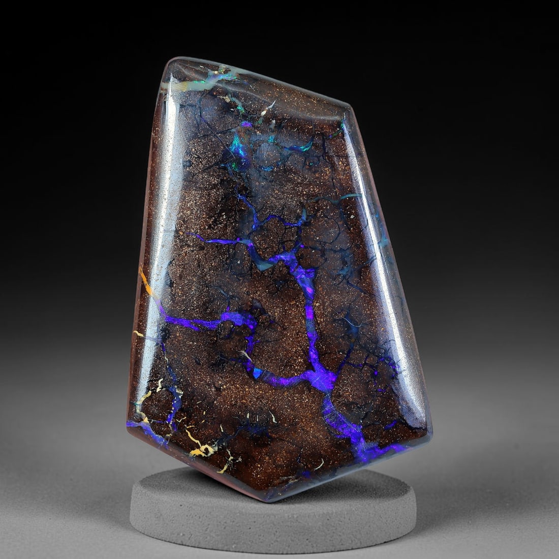 23.4ct Natural Australian Queensland Matrix Boulder Opal Cabochon, 44AV: Hand polished freeform tapered trapezoid cabochon crafted from natural Queensland matrix boulder opal, featuring fine glitter-speckled warm brown ironstone host crisscrossed with vivid branching opal 