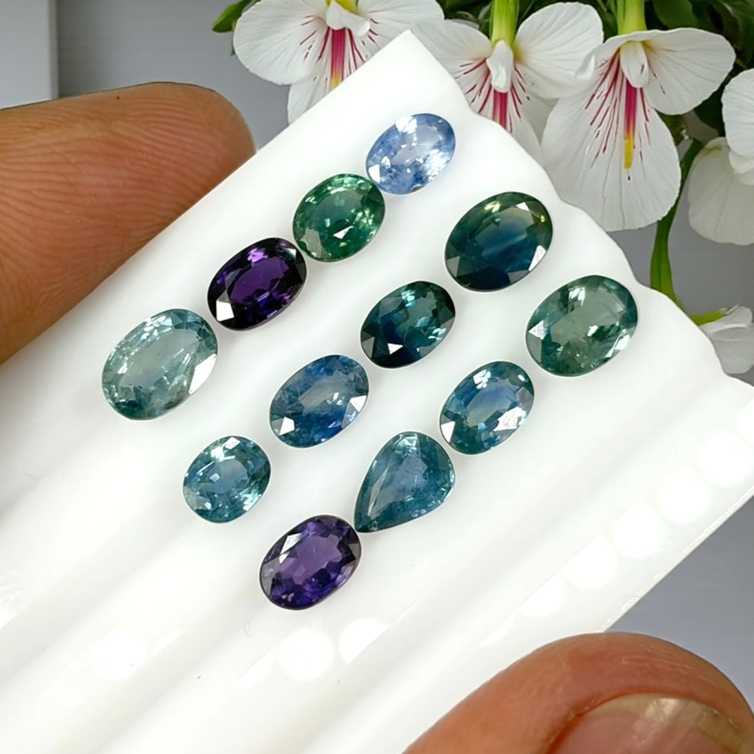 8.80 Carats Natural Multicolor Fancy Sapphire Parcel - Heated Loose Gemstones, 31YE: This curated sapphire parcel presents a striking array of natural fancy color tones, ranging from pale sky blue, medium royal blue, teal blue-green, deep forest green, to rich violet-purple across ova