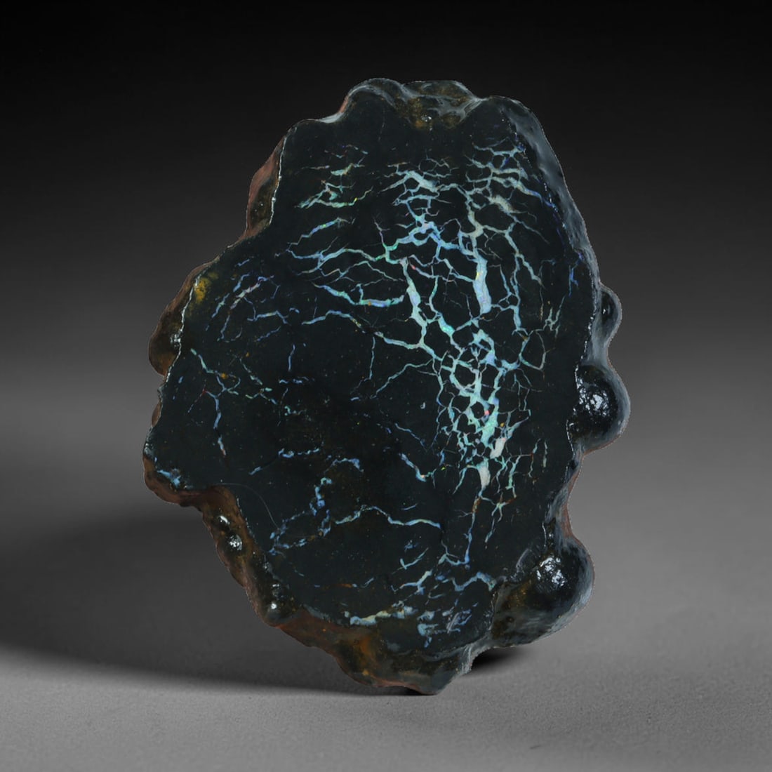 23.58ct Natural Australian Queensland Boulder Opal Sliced Slab Cutting Rough, 16AX: Natural sliced slab rough of Queensland boulder opal cutting grade, featuring rich color ironstone matrix with patterns. The face clearly reveals extensive opal veining and pocket formations running t