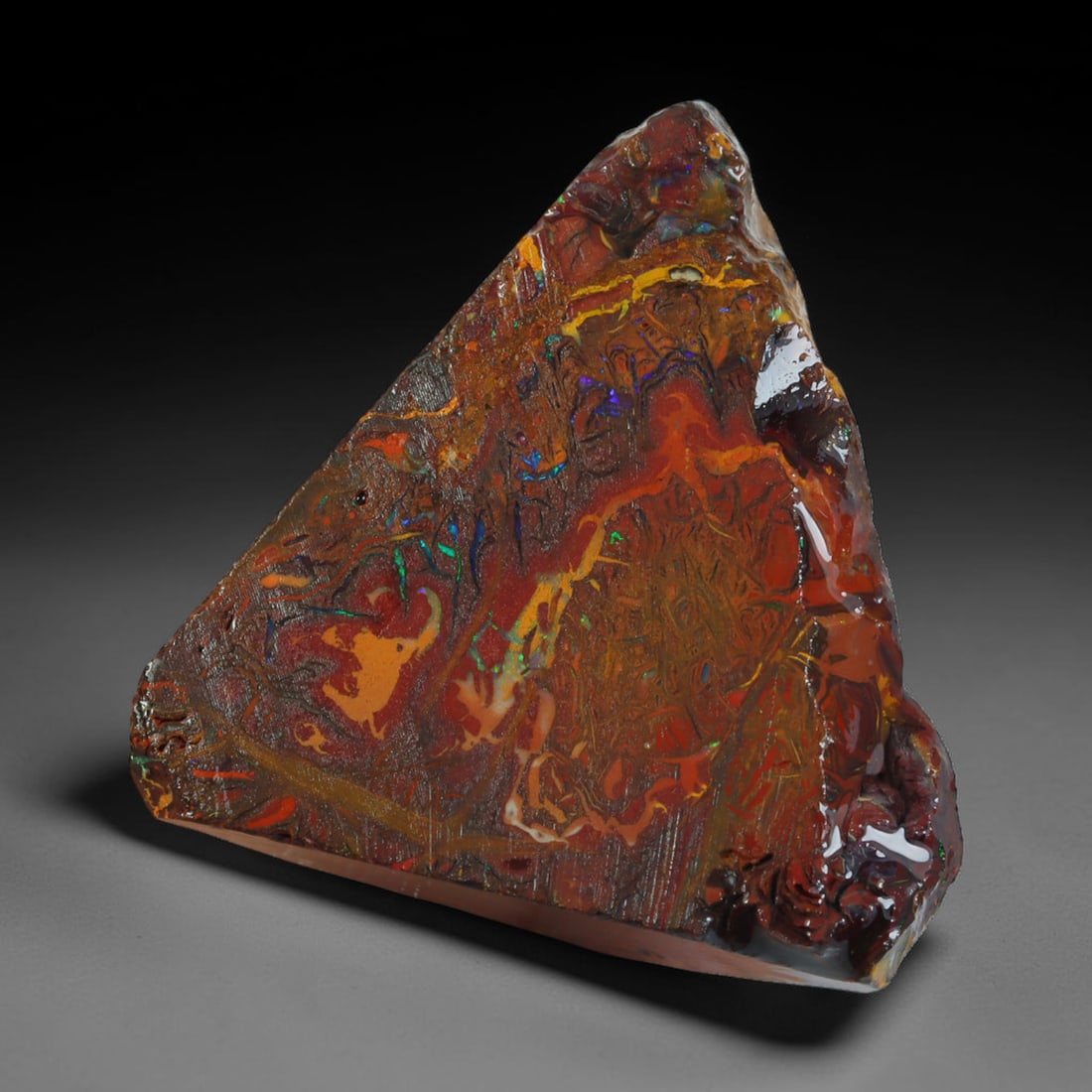 55.88ct Natural Australian Queensland Boulder Opal Sliced Slab Cutting Rough, 88AV: Natural sliced slab rough of Queensland boulder opal cutting grade, featuring rich color ironstone matrix with patterns. The face clearly reveals extensive opal veining and pocket formations running t