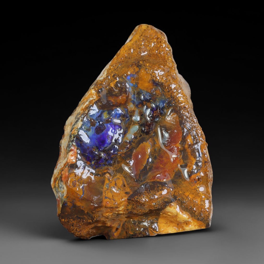 88.72ct Natural Australian Queensland Boulder Opal Sliced Slab Cutting Rough, 41AX: Natural sliced slab rough of Queensland boulder opal cutting grade, featuring rich color ironstone matrix with patterns. The face clearly reveals extensive opal veining and pocket formations running t