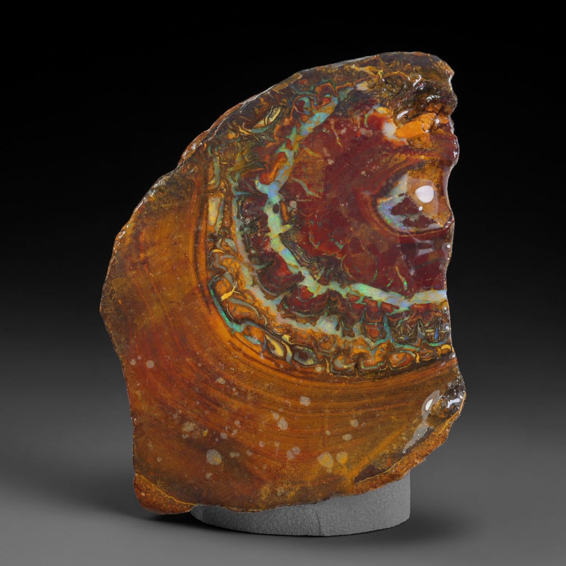100.75ct Natural Australian Queensland Boulder Opal Sliced Slab Cutting Rough, 45AX: Natural sliced slab rough of Queensland boulder opal cutting grade, featuring rich color ironstone matrix with patterns. The face clearly reveals extensive opal veining and pocket formations running t
