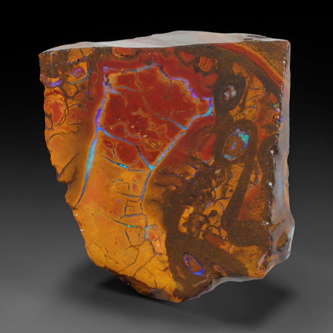 95.40ct Natural Australian Queensland Boulder Opal Sliced Slab Cutting Rough, 46AX: Natural sliced slab rough of Queensland boulder opal cutting grade, featuring rich color ironstone matrix with patterns. The face clearly reveals extensive opal veining and pocket formations running t