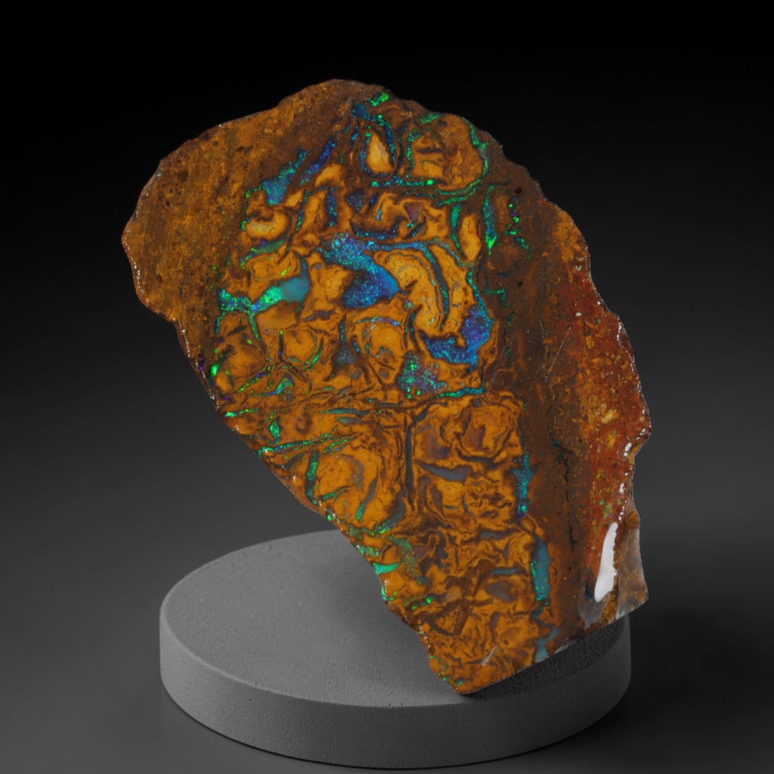 11.03ct Natural Australian Queensland Boulder Opal Sliced Slab Cutting Rough, 13AX: Natural sliced slab rough of Queensland boulder opal cutting grade, featuring rich color ironstone matrix with patterns. The face clearly reveals extensive opal veining and pocket formations running t