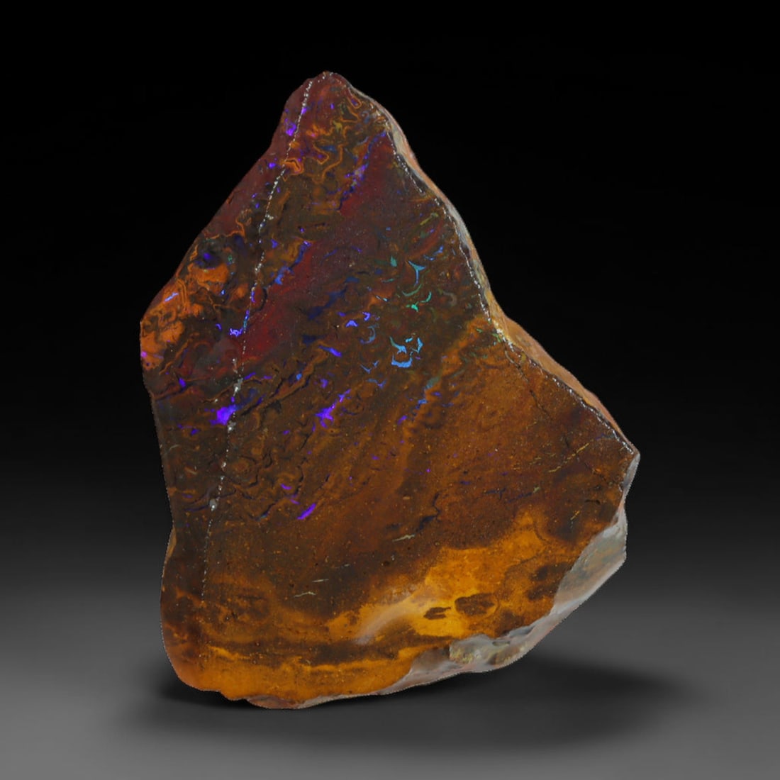 32.97ct Natural Australian Queensland Boulder Opal Sliced Slab Cutting Rough, 7AX: Natural sliced slab rough of Queensland boulder opal cutting grade, featuring rich color ironstone matrix with patterns. The face clearly reveals extensive opal veining and pocket formations running t