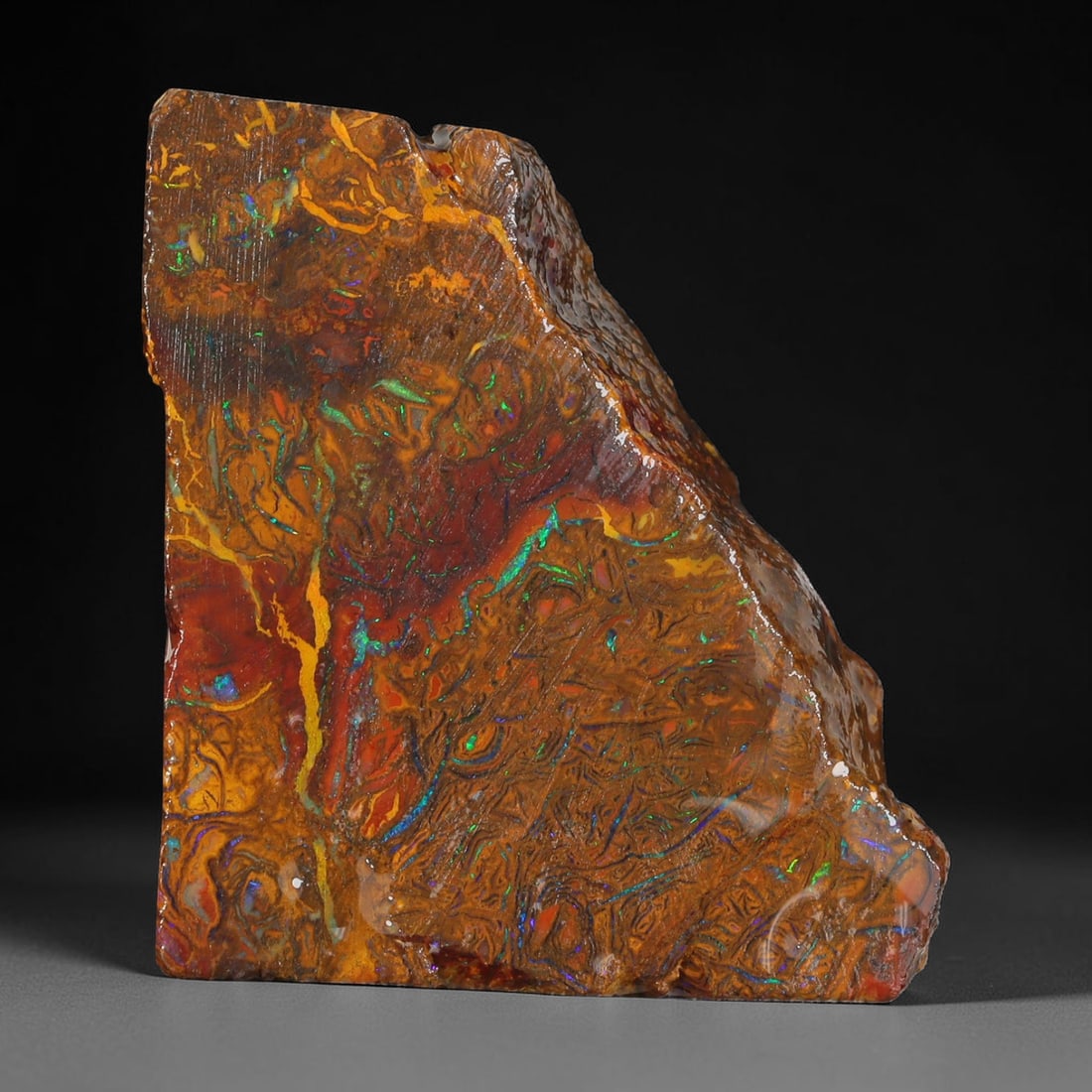 44.96ct Natural Australian Queensland Boulder Opal Sliced Slab Cutting Rough, 41YL: Natural sliced slab rough of Queensland boulder opal cutting grade, featuring rich color ironstone matrix with patterns. The face clearly reveals extensive opal veining and pocket formations running t