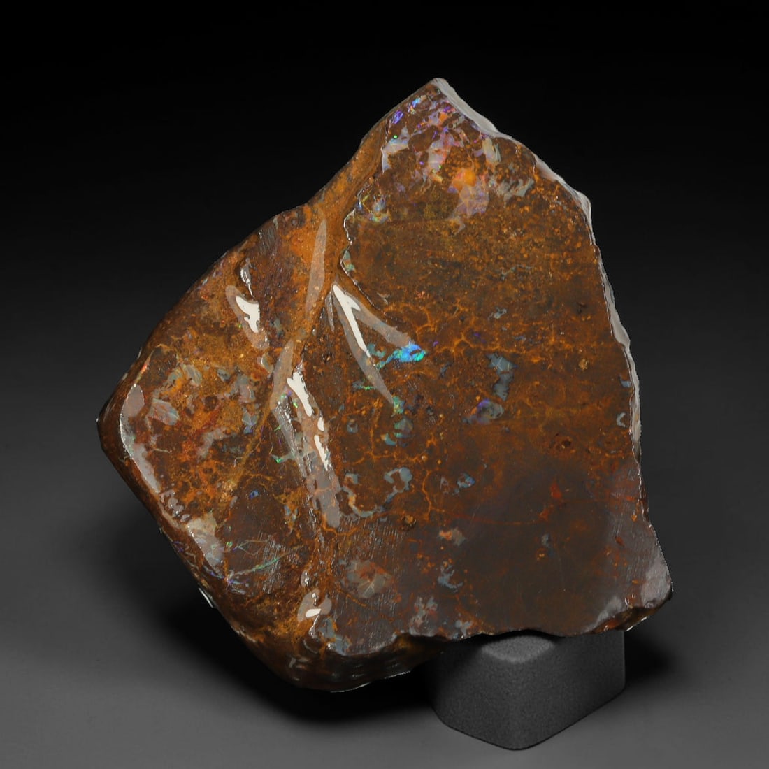 40.02ct Natural Australian Queensland Boulder Opal Sliced Slab Cutting Rough, 32YL: Natural sliced slab rough of Queensland boulder opal cutting grade, featuring rich color ironstone matrix with patterns. The face clearly reveals extensive opal veining and pocket formations running t