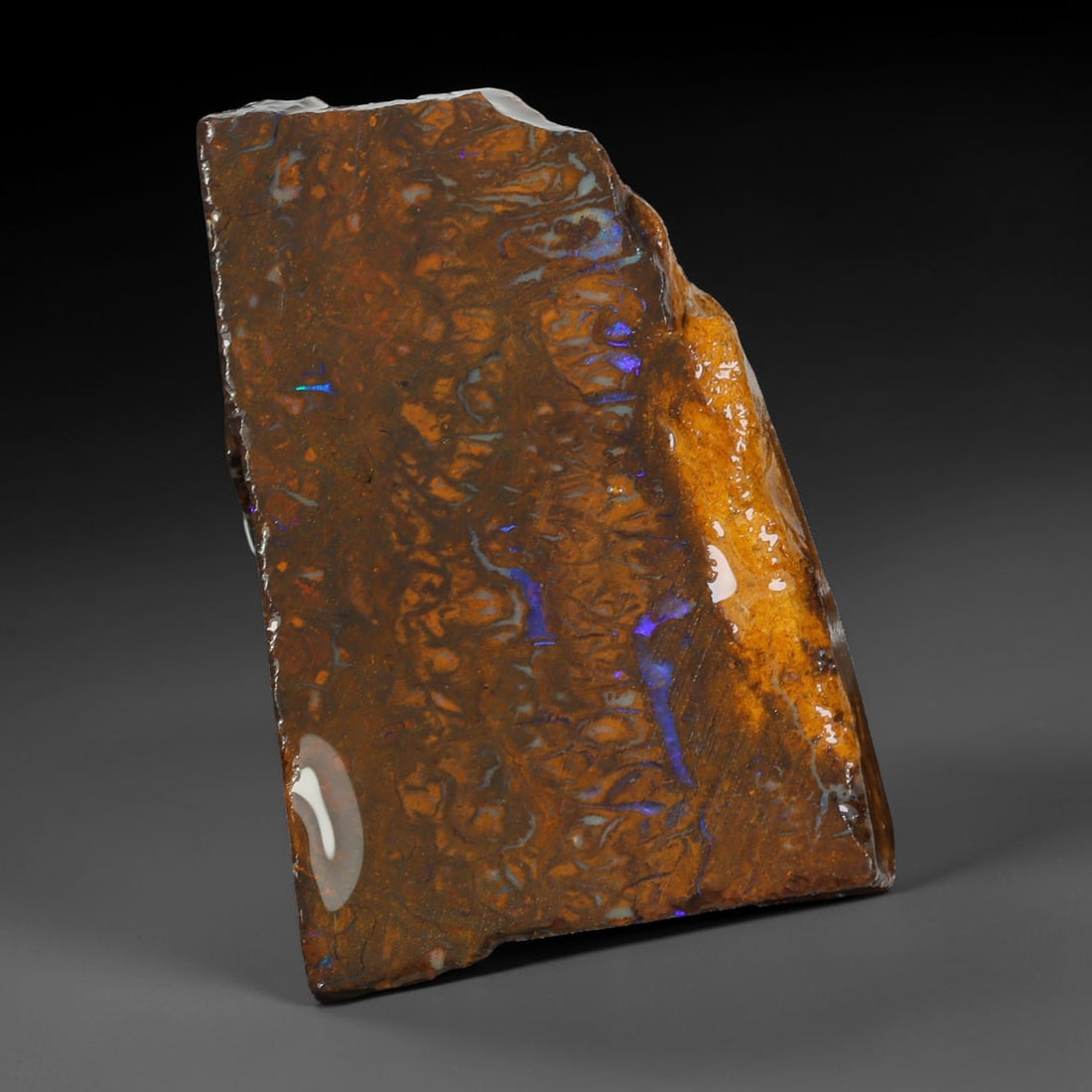 47.06ct Natural Australian Queensland Boulder Opal Sliced Slab Cutting Rough, 15YL: Natural sliced slab rough of Queensland boulder opal cutting grade, featuring rich color ironstone matrix with patterns. The face clearly reveals extensive opal veining and pocket formations running t