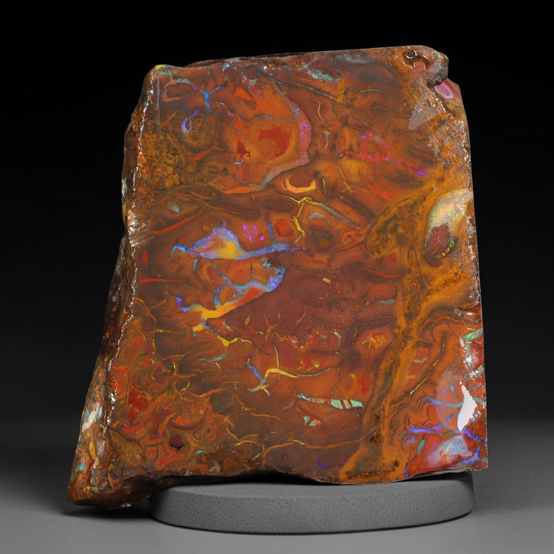 52.74ct Natural Australian Queensland Boulder Opal Sliced Slab Cutting Rough, 18YL: Natural sliced slab rough of Queensland boulder opal cutting grade, featuring rich color ironstone matrix with patterns. The face clearly reveals extensive opal veining and pocket formations running t