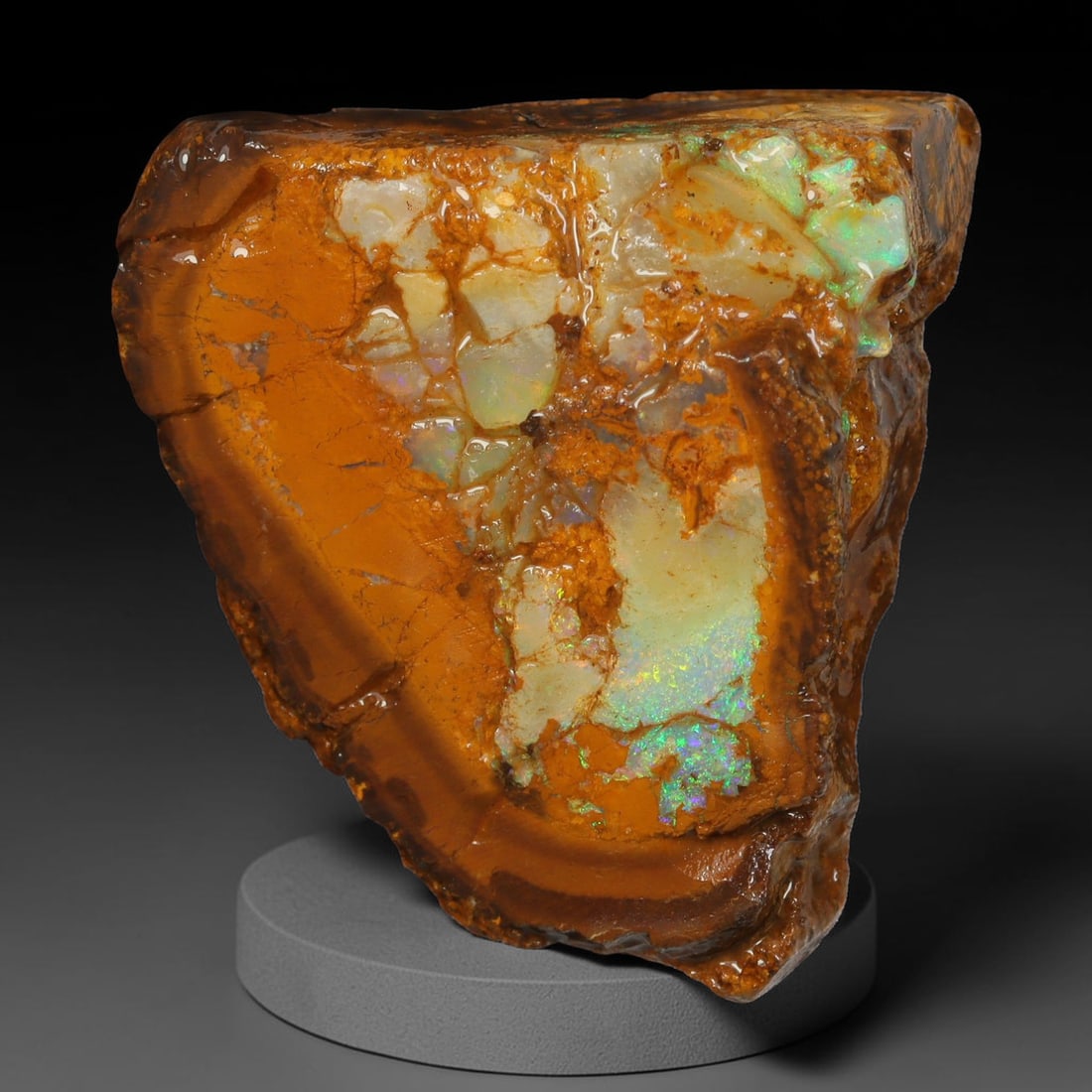 58.71ct Natural Australian Queensland Boulder Opal Sliced Slab Cutting Rough, 25YL: Natural sliced slab rough of Queensland boulder opal cutting grade, featuring rich color ironstone matrix with patterns. The face clearly reveals extensive opal veining and pocket formations running t