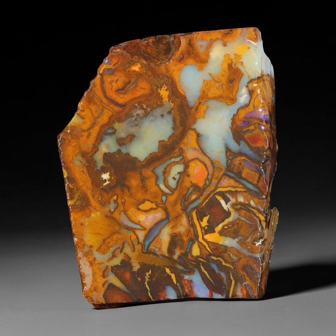 37.20ct Natural Australian Queensland Boulder Opal Sliced Slab Cutting Rough, 36YL: Natural sliced slab rough of Queensland boulder opal cutting grade, featuring rich color ironstone matrix with patterns. The face clearly reveals extensive opal veining and pocket formations running t