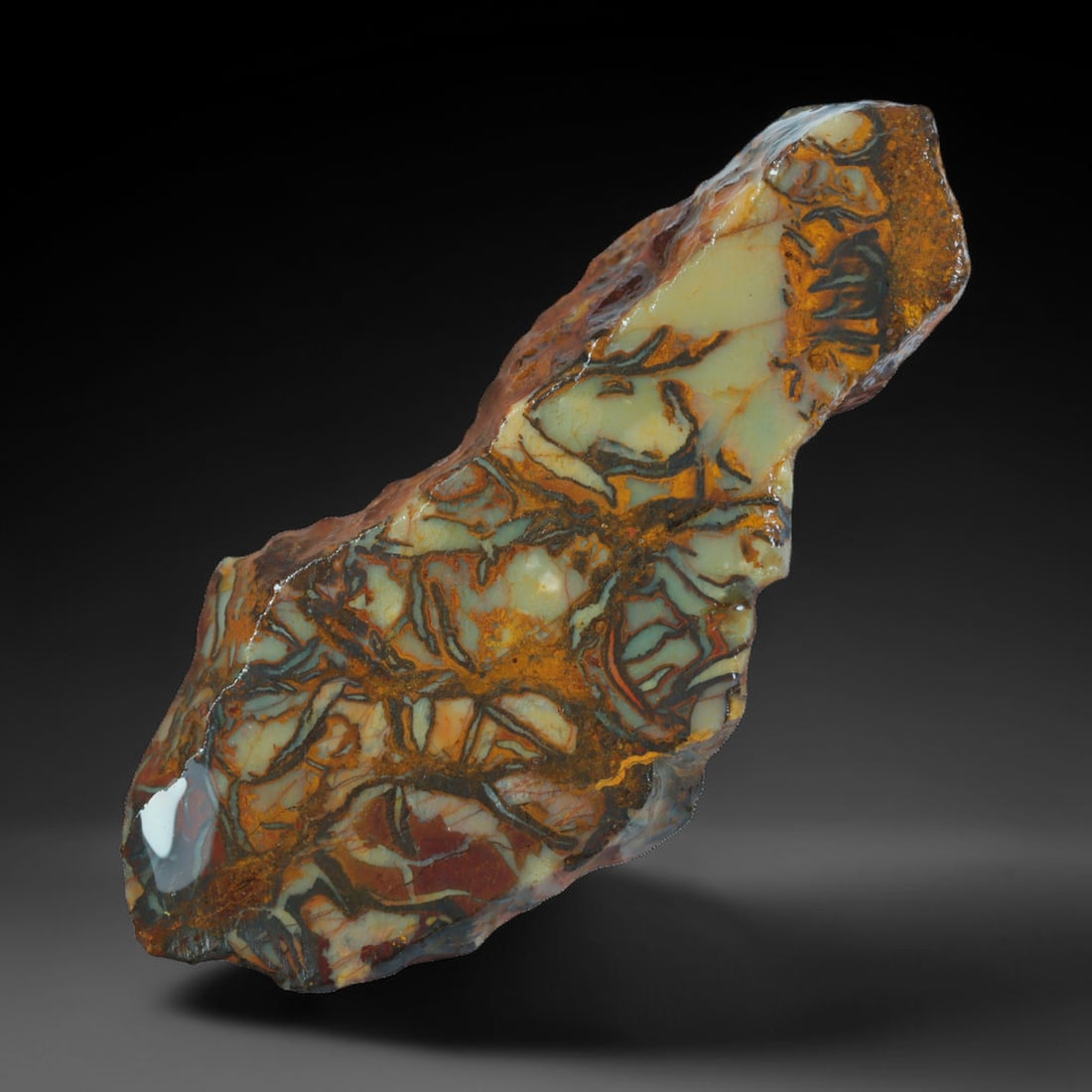 39.62ct Natural Australian Queensland Boulder Opal Sliced Slab Cutting Rough, 86AV: Natural sliced slab rough of Queensland boulder opal cutting grade, featuring rich color ironstone matrix with patterns. The face clearly reveals extensive opal veining and pocket formations running t