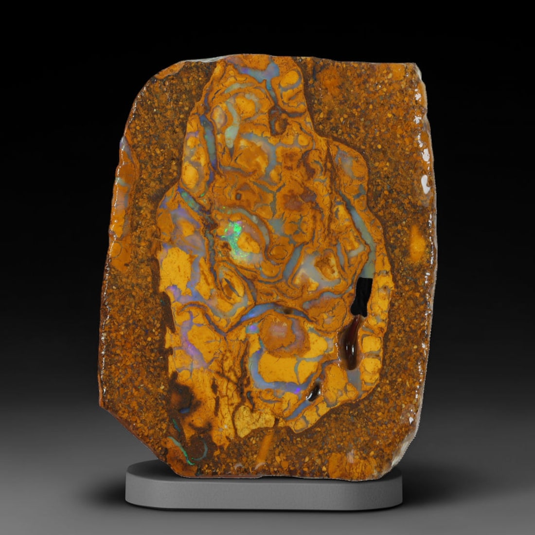 26.28ct Natural Australian Queensland Boulder Opal Sliced Slab Cutting Rough, 23AX: Natural sliced slab rough of Queensland boulder opal cutting grade, featuring rich color ironstone matrix with patterns. The face clearly reveals extensive opal veining and pocket formations running t