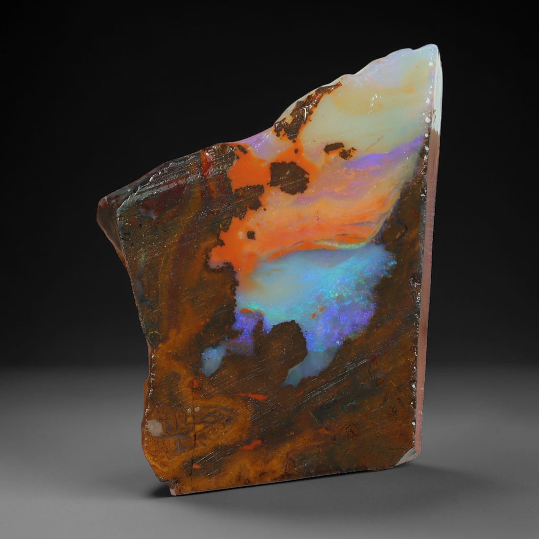 40.03ct Natural Australian Queensland Boulder Opal Sliced Slab Cutting Rough, 10AX: Natural sliced slab rough of Queensland boulder opal cutting grade, featuring rich color ironstone matrix with patterns. The face clearly reveals extensive opal veining and pocket formations running t
