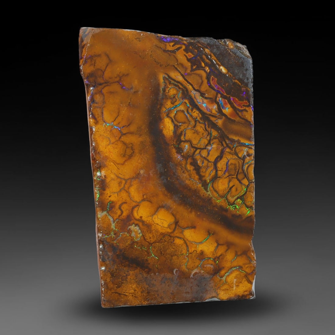 78.07ct Natural Australian Queensland Boulder Opal Sliced Slab Cutting Rough, 75YL: Natural sliced slab rough of Queensland boulder opal cutting grade, featuring rich color ironstone matrix with patterns. The face clearly reveals extensive opal veining and pocket formations running t