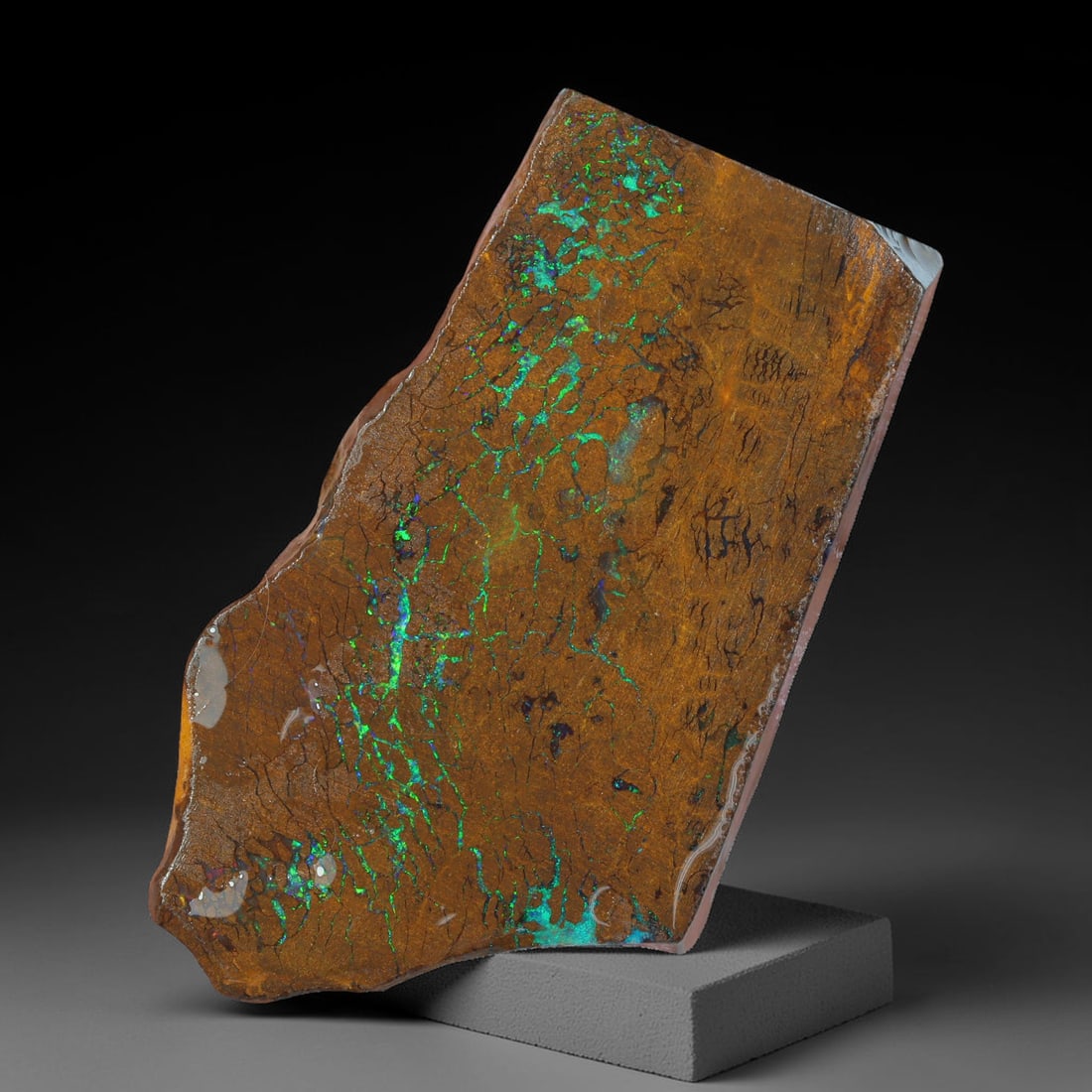 78.27ct Natural Australian Queensland Boulder Opal Sliced Slab Cutting Rough, 99AX: Natural sliced slab rough of Queensland boulder opal cutting grade, featuring rich color ironstone matrix with patterns. The face clearly reveals extensive opal veining and pocket formations running t