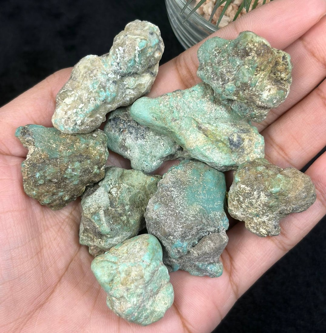 430ct Natural Kingman Turquoise Rough - Arizona USA, 5AS: This grouping consists of natural unprocessed Kingman turquoise rough nuggets mined from Arizona, USA, showing natural muted blue-green turquoise hues blended with host rock matrix across irregular na