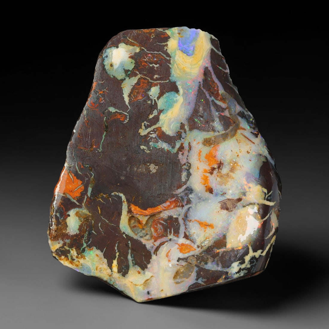34.16ct Natural Australian Queensland Boulder Opal Sliced Slab Cutting Rough, 11YL: Natural sliced slab rough of Queensland boulder opal cutting grade, featuring rich color ironstone matrix with patterns. The face clearly reveals extensive opal veining and pocket formations running t