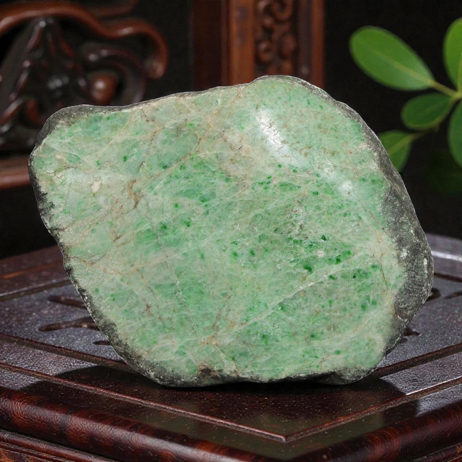 3510Ct Natural Type A Burmese Jadeite Jade Rough Stone - Green Raw Material, 18ZB: Natural Type A Burmese jadeite rough stone, displaying scattered vivid green inclusions across a pale translucent base, framed by natural dark weathered skin along the edges. The stone retains its unc