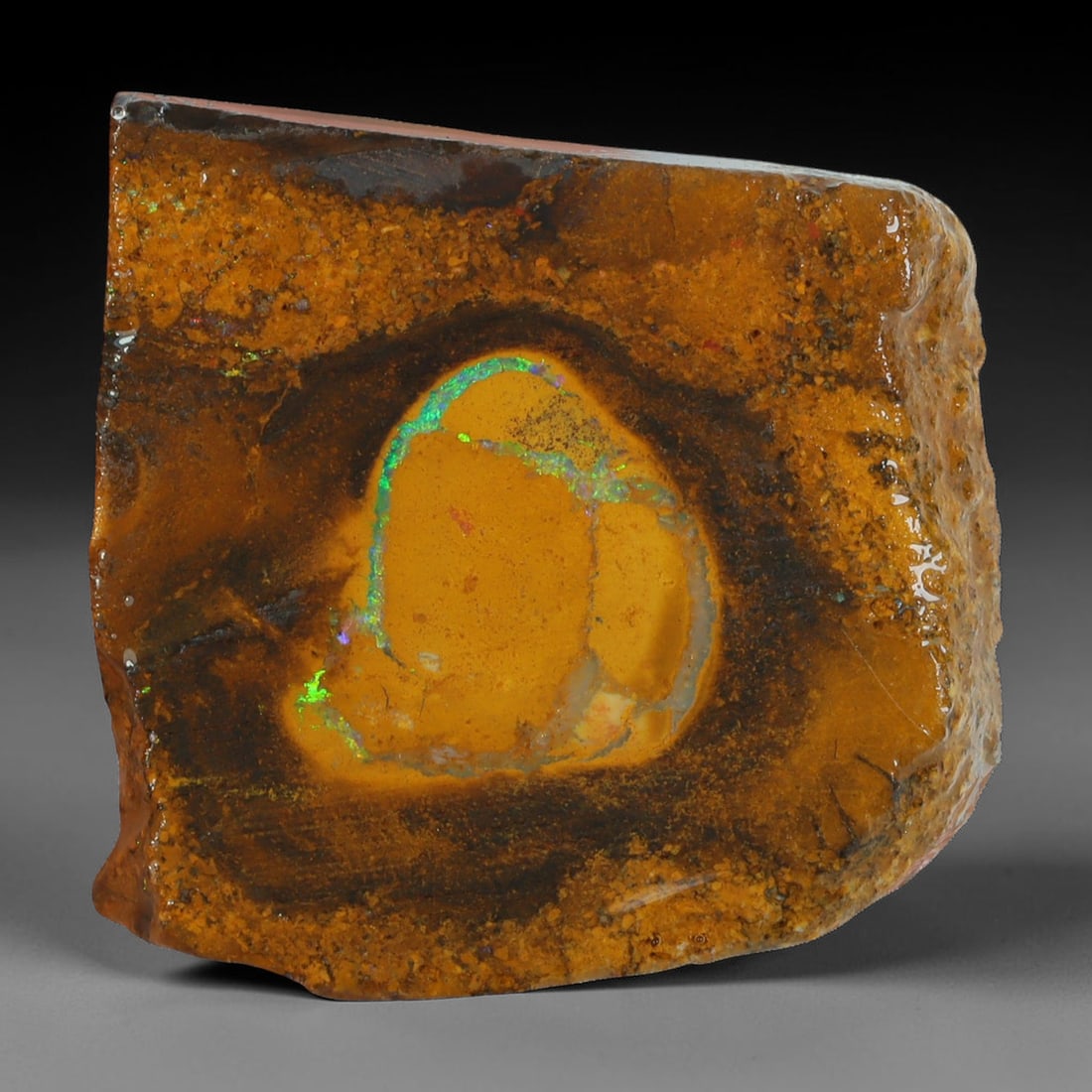 39.51ct Natural Australian Queensland Boulder Opal Sliced Slab Cutting Rough, 28AX: Natural sliced slab rough of Queensland boulder opal cutting grade, featuring rich color ironstone matrix with patterns. The face clearly reveals extensive opal veining and pocket formations running t