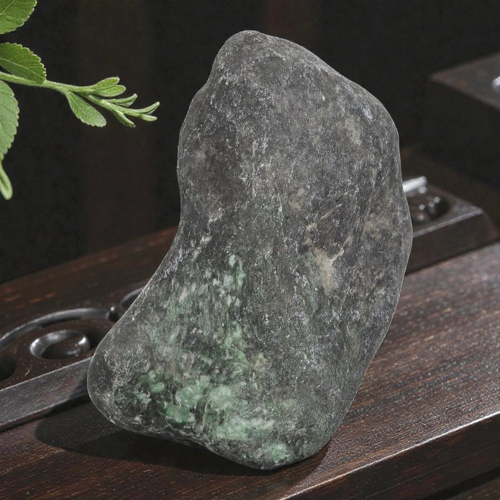 1525Ct Natural Type A Burmese Jadeite Jade Rough Stone - Green Raw Material, 22ZB: Natural Type A Burmese jadeite rough stone, displaying vibrant green mineral deposits visible through its thick, naturally weathered dark outer skin. The stone retains its uncut, naturally formed shap