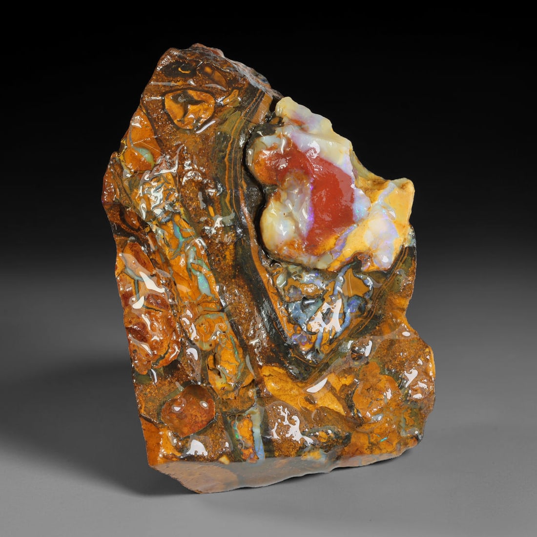 95.46ct Natural Australian Queensland Boulder Opal Sliced Slab Cutting Rough, 49YL: Natural sliced slab rough of Queensland boulder opal cutting grade, featuring rich color ironstone matrix with patterns. The face clearly reveals extensive opal veining and pocket formations running t