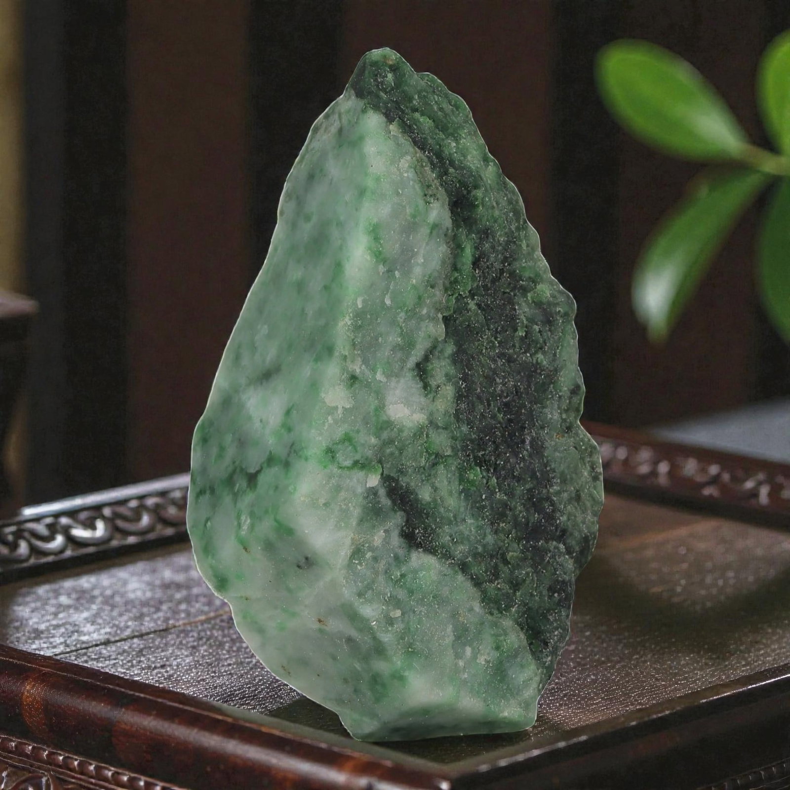 135ct Natural Burmese Moss in Snow Jadeite Rough - Dark & Light Green Mini Slab, 56EA: This is a natural Type A Burmese jadeite rough slab, measuring 5x3cm and weighing 27g (135ct). It showcases the striking "Moss in Snow" pattern, with deep forest-green and vivid light-green moss-like 