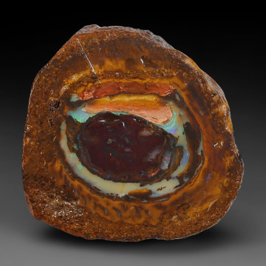 38.45ct Natural Australian Queensland Boulder Opal Sliced Slab Cutting Rough, 79YL: Natural sliced slab rough of Queensland boulder opal cutting grade, featuring rich color ironstone matrix with patterns. The face clearly reveals extensive opal veining and pocket formations running t