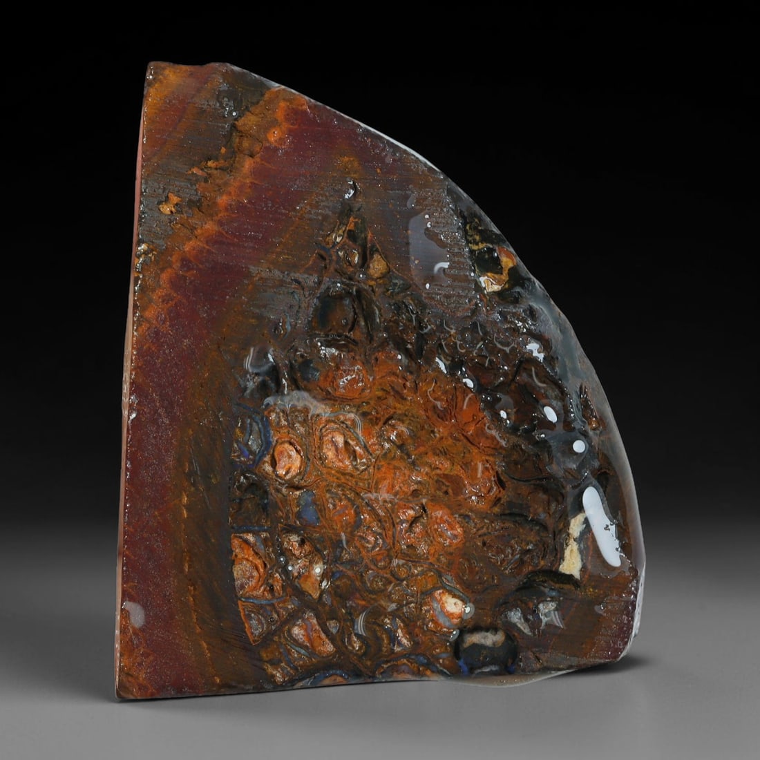 65.97ct Natural Australian Queensland Boulder Opal Sliced Slab Cutting Rough, 71YL: Natural sliced slab rough of Queensland boulder opal cutting grade, featuring rich color ironstone matrix with patterns. The face clearly reveals extensive opal veining and pocket formations running t
