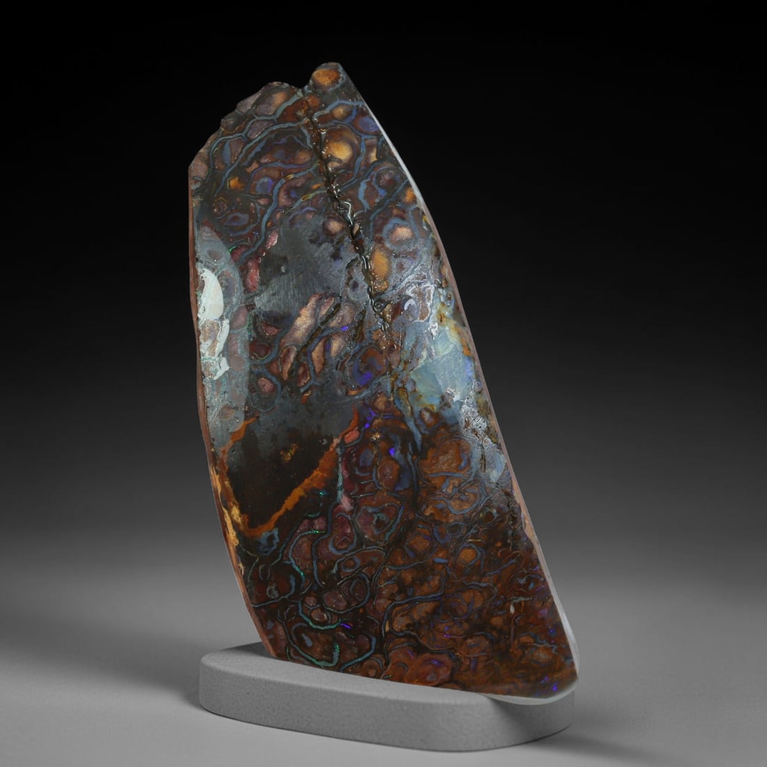 40.90ct Natural Australian Queensland Boulder Opal Sliced Slab Cutting Rough, 15YP: Natural sliced slab rough of Queensland boulder opal cutting grade, featuring rich color ironstone matrix with patterns. The face clearly reveals extensive opal veining and pocket formations running t
