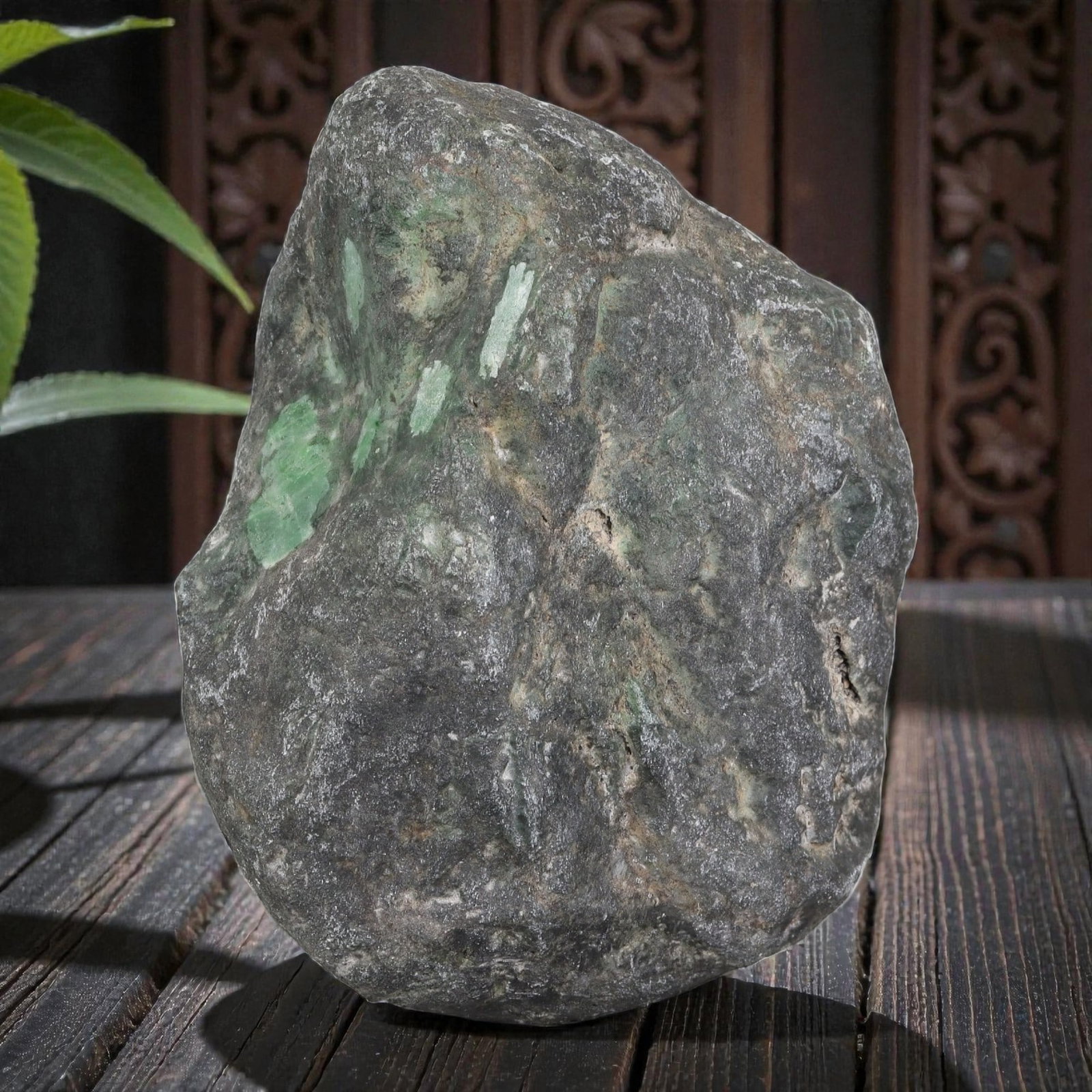 1995Ct Natural Type A Burmese Jadeite Jade Rough Stone - Green Raw Material, 24ZB: Natural Type A Burmese jadeite rough stone, with polished sections revealing vibrant green mineral deposits visible through its thick, naturally weathered dark grey outer skin. The stone retains its u