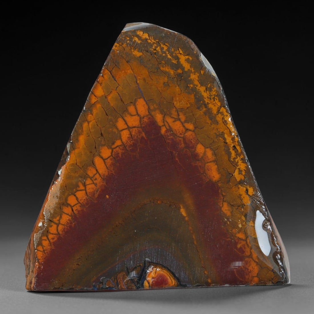 49.16ct Natural Australian Queensland Boulder Opal Sliced Slab Cutting Rough, 17YP: Natural sliced slab rough of Queensland boulder opal cutting grade, featuring rich color ironstone matrix with patterns. The face clearly reveals extensive opal veining and pocket formations running t