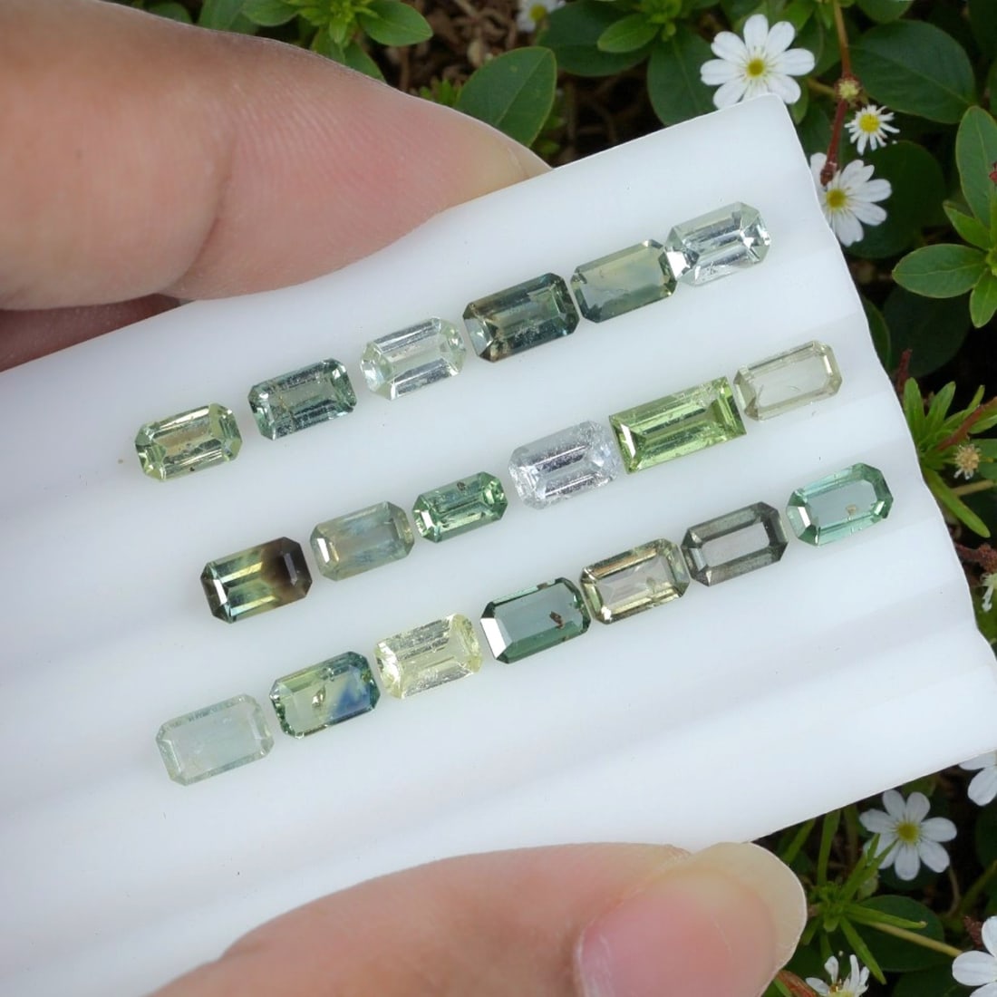 5.32 Carats Natural Pale Green Emerald Cut Sapphire Parcel - Heated Loose Gems, 19YH: This carefully curated sapphire parcel features uniform emerald step cuts showcasing a soft spectrum of natural tones, ranging from transparent near-colorless, pale mint green, olive green, yellowish-