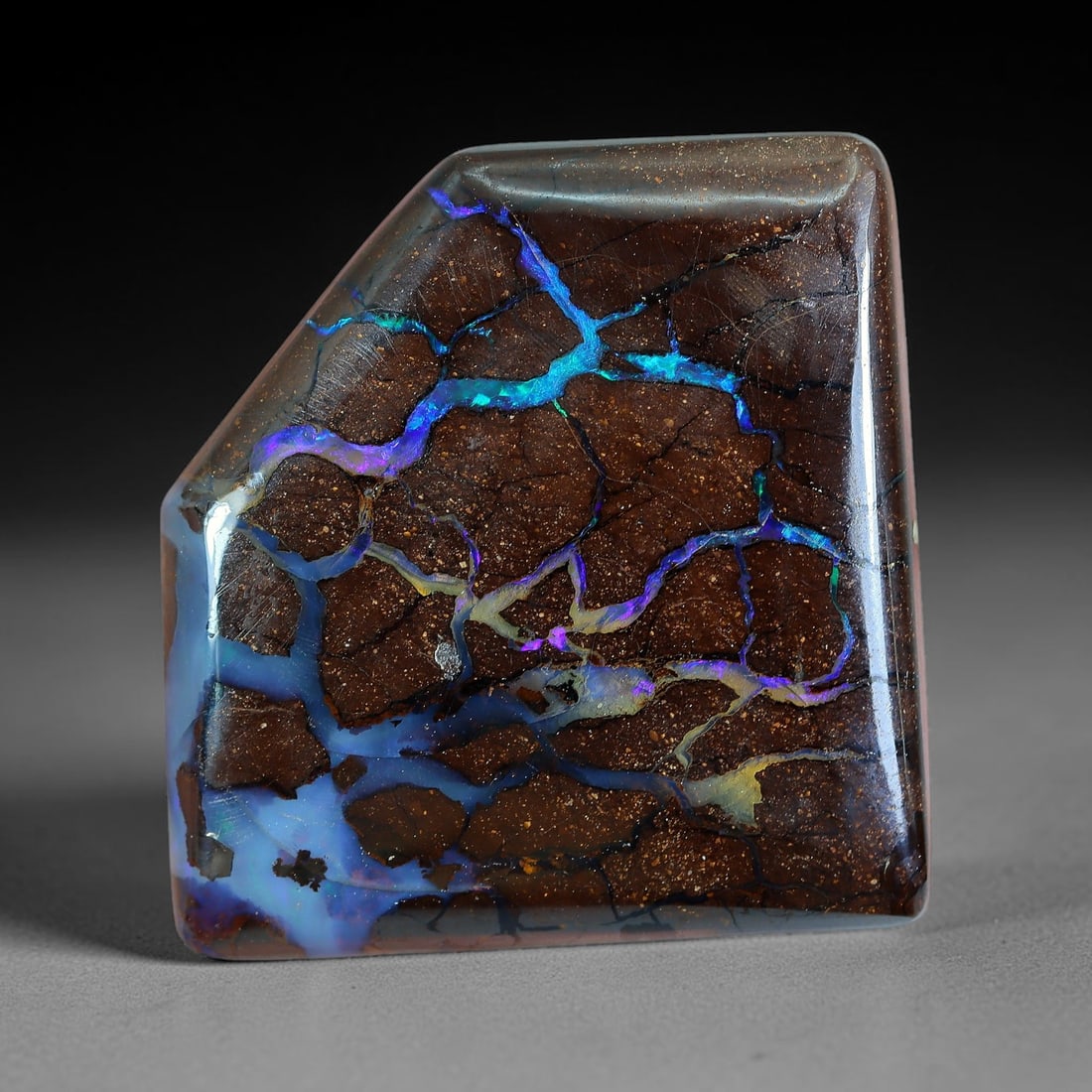 32.54ct Natural Australian Queensland Matrix Boulder Opal Cabochon, 42AV: Hand polished freeform trapezoid cabochon crafted from natural Queensland matrix boulder opal, featuring rich speckled brown ironstone host rock laced with wide branching opal veins showcasing shiftin