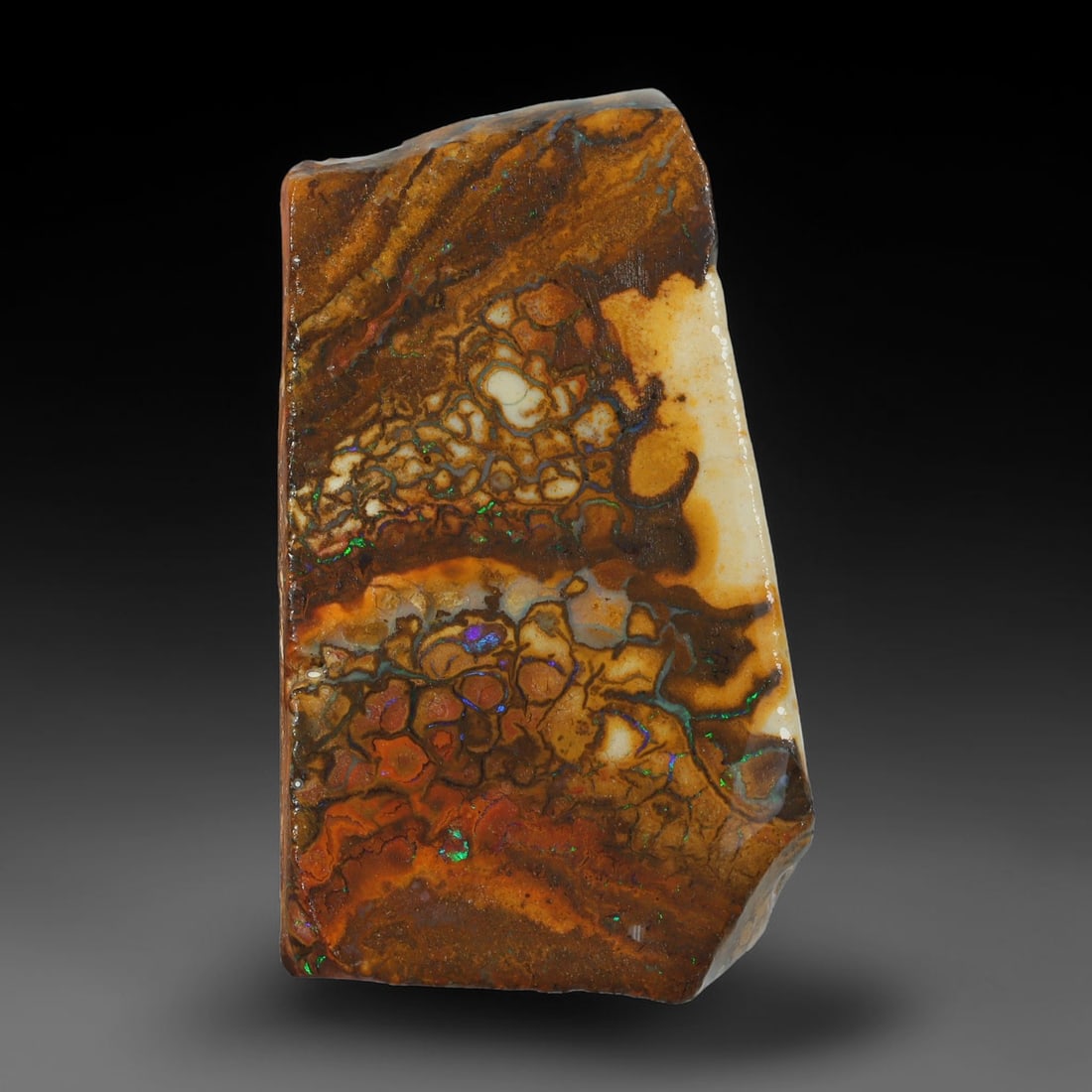 35.60ct Natural Australian Queensland Boulder Opal Sliced Slab Cutting Rough, 87AX: Natural sliced slab rough of Queensland boulder opal cutting grade, featuring rich color ironstone matrix with patterns. The face clearly reveals extensive opal veining and pocket formations running t