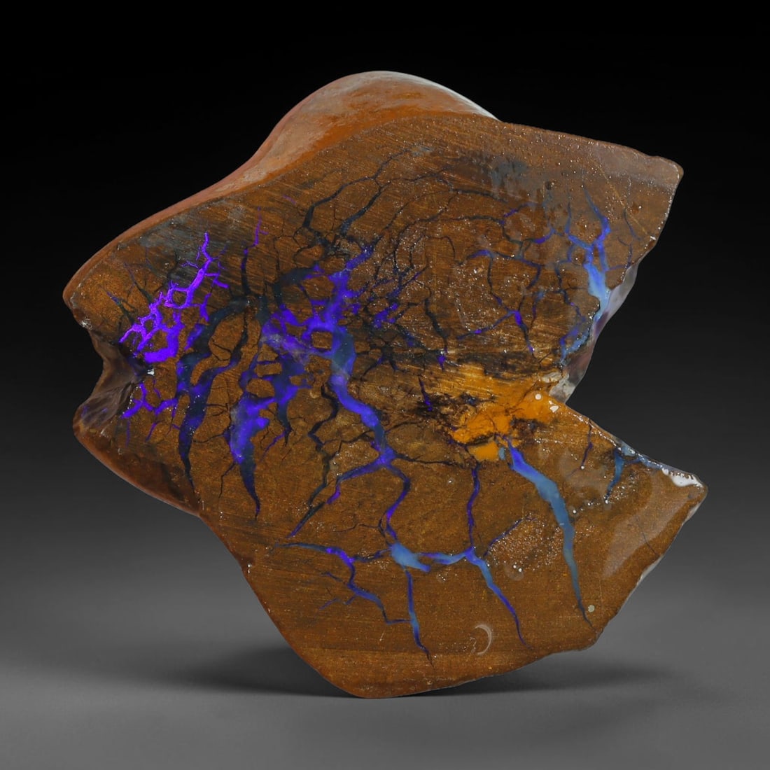 54.40ct Natural Australian Queensland Boulder Opal Sliced Slab Cutting Rough, 14YP: Natural sliced slab rough of Queensland boulder opal cutting grade, featuring rich color ironstone matrix with patterns. The face clearly reveals extensive opal veining and pocket formations running t