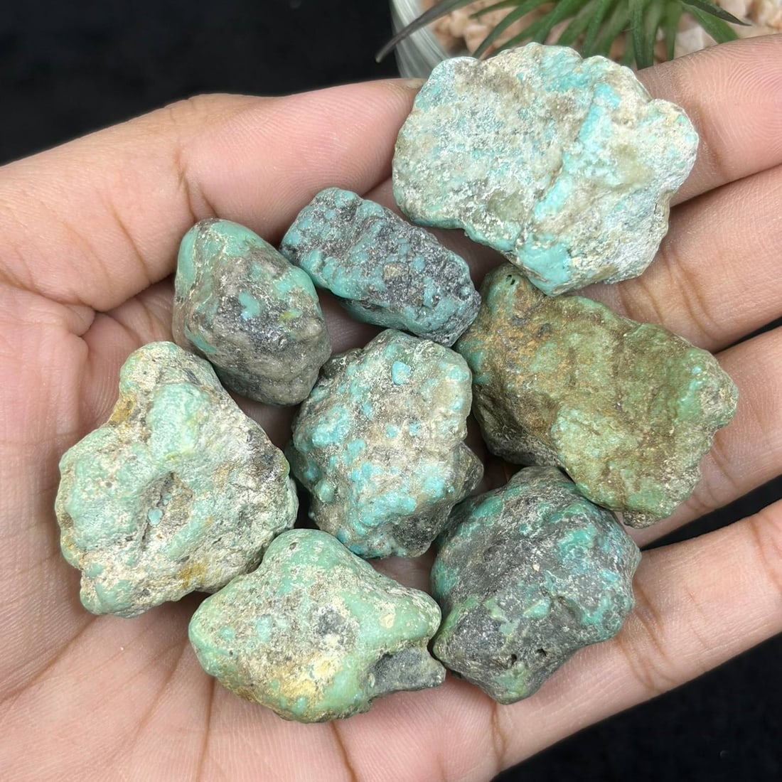 355ct Natural Kingman Turquoise Rough - Arizona USA, 4AS: This collection features natural unprocessed Kingman turquoise rough nuggets mined from Arizona, USA, displaying natural blue-green turquoise coloration intermixed with host rock matrix across irregul