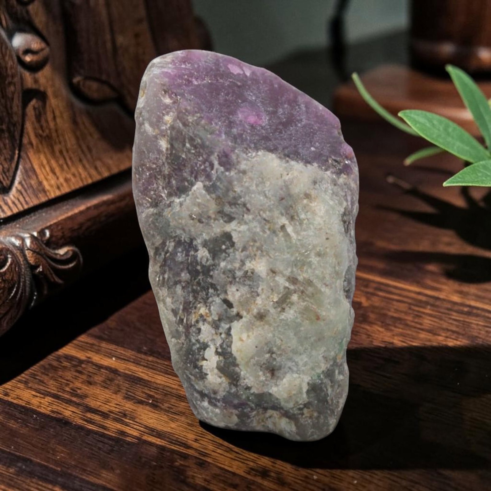 17.87ct Natural Mauritania Ruby Rough (Unheated), 57XE: This unheated Mauritania ruby rough is a captivating natural crystal specimen, featuring vivid magenta-purple ruby formations embedded in a contrasting greyish matrix. The stone's rugged, unpolished s