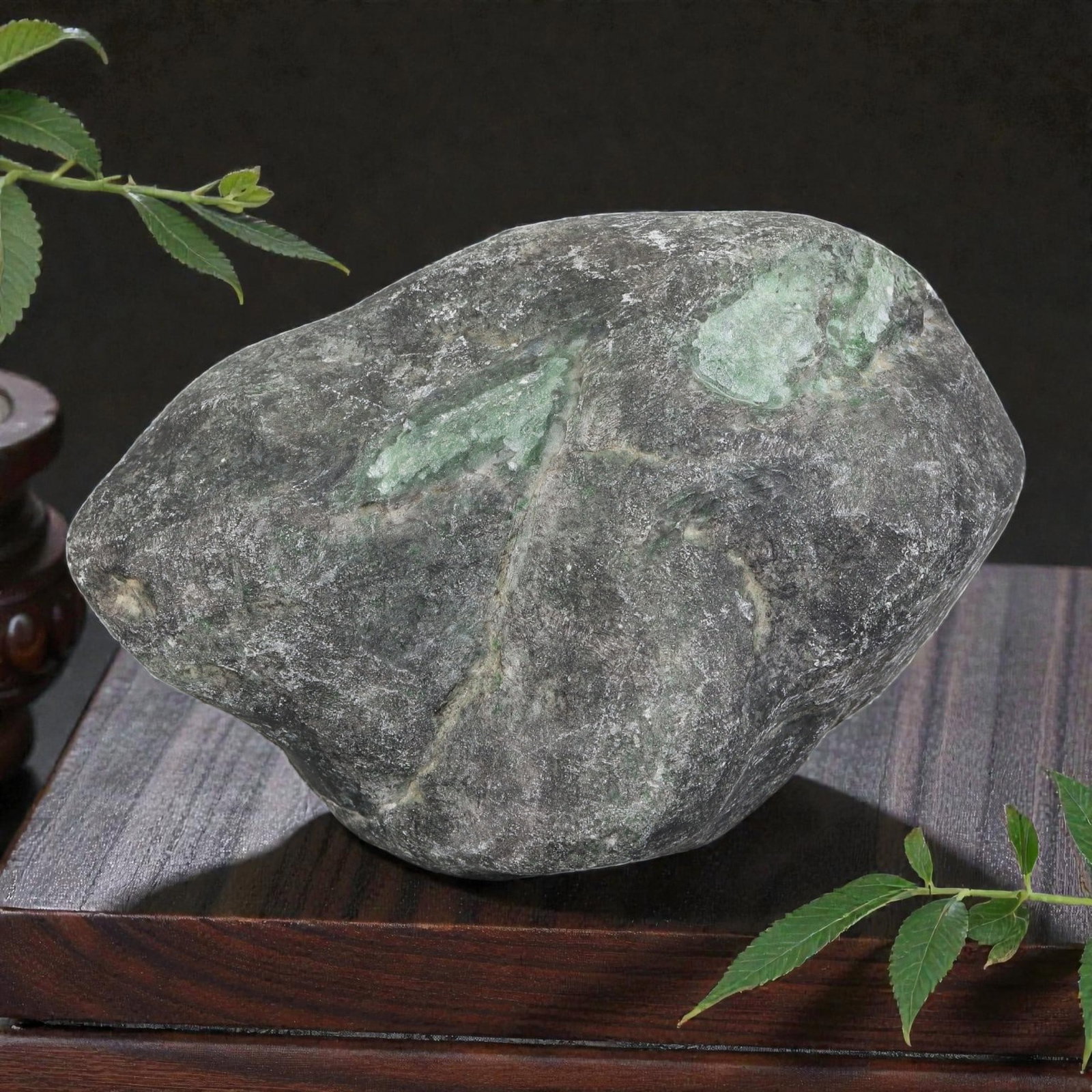 3115Ct Natural Type A Burmese Jadeite Jade Rough Stone - Green Raw Material, 25ZB: Natural Type A Burmese jadeite rough stone, with polished patches revealing vibrant light green mineral deposits visible through its thick, naturally weathered dark grey outer skin. The stone retains 