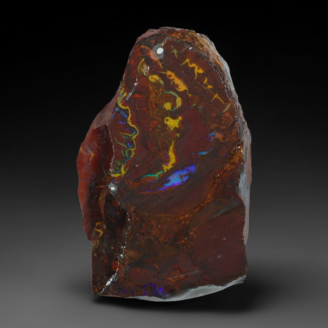 40.50ct Natural Australian Queensland Boulder Opal Sliced Slab Cutting Rough, 90YL: Natural sliced slab rough of Queensland boulder opal cutting grade, featuring rich color ironstone matrix with patterns. The face clearly reveals extensive opal veining and pocket formations running t