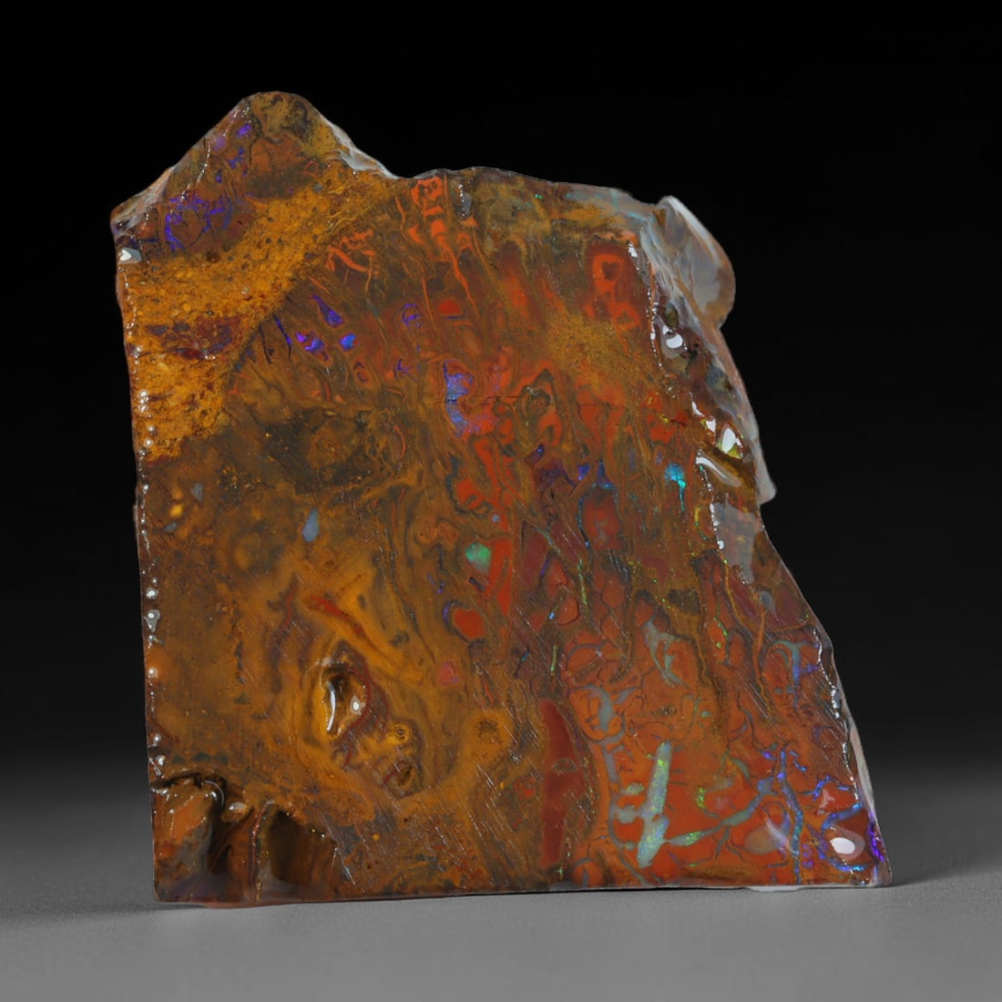 54.95ct Natural Australian Queensland Boulder Opal Sliced Slab Cutting Rough, 87AV: Natural sliced slab rough of Queensland boulder opal cutting grade, featuring rich color ironstone matrix with patterns. The face clearly reveals extensive opal veining and pocket formations running t