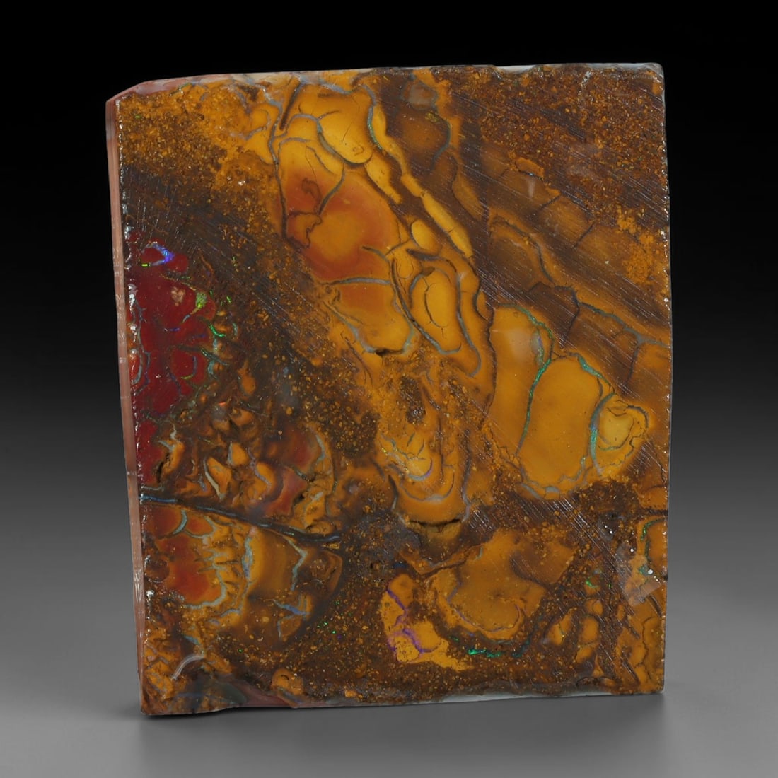 44.20ct Natural Australian Queensland Boulder Opal Sliced Slab Cutting Rough, 73YL: Natural sliced slab rough of Queensland boulder opal cutting grade, featuring rich color ironstone matrix with patterns. The face clearly reveals extensive opal veining and pocket formations running t