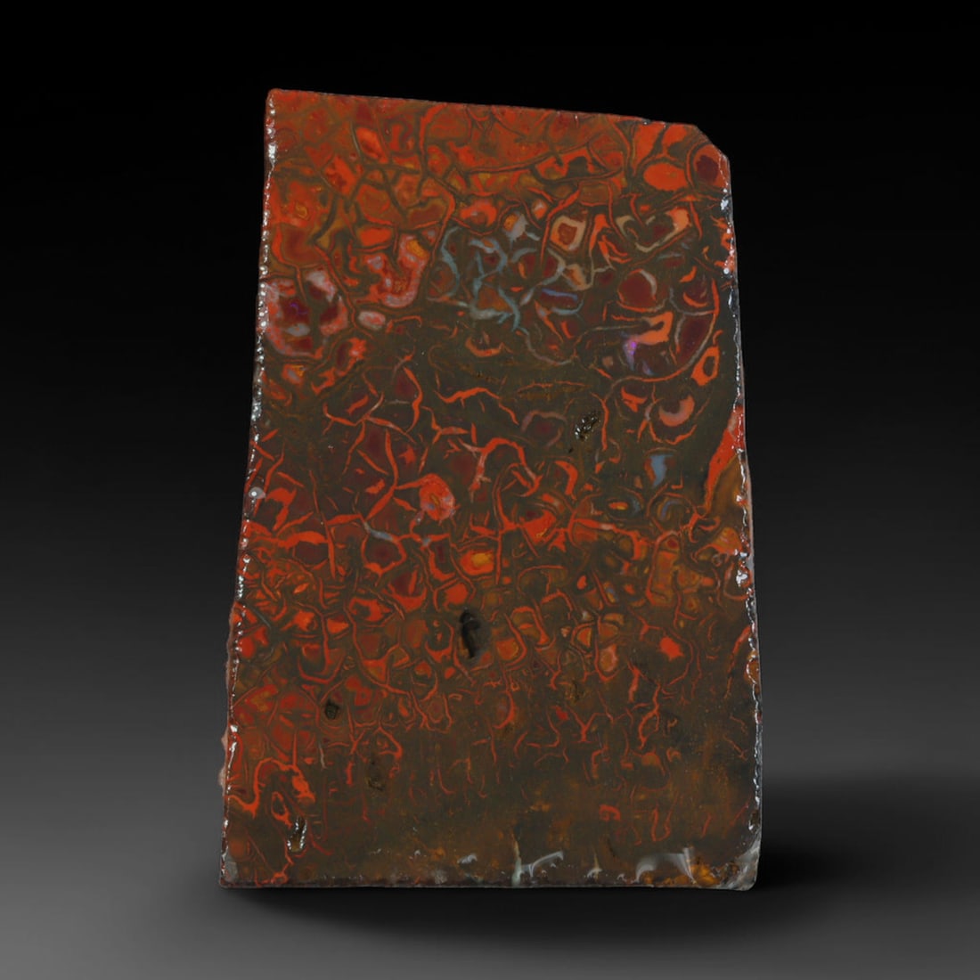 70.16ct Natural Australian Queensland Boulder Opal Sliced Slab Cutting Rough, 91AV: Natural sliced slab rough of Queensland boulder opal cutting grade, featuring rich color ironstone matrix with patterns. The face clearly reveals extensive opal veining and pocket formations running t