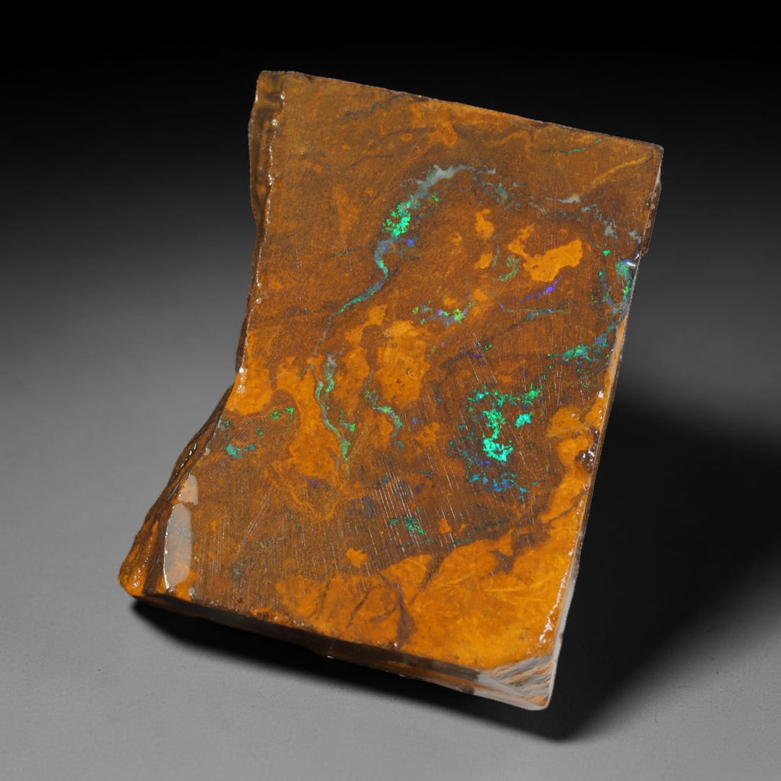 70.76ct Natural Australian Queensland Boulder Opal Sliced Slab Cutting Rough, 98AV: Natural sliced slab rough of Queensland boulder opal cutting grade, featuring rich color ironstone matrix with patterns. The face clearly reveals extensive opal veining and pocket formations running t