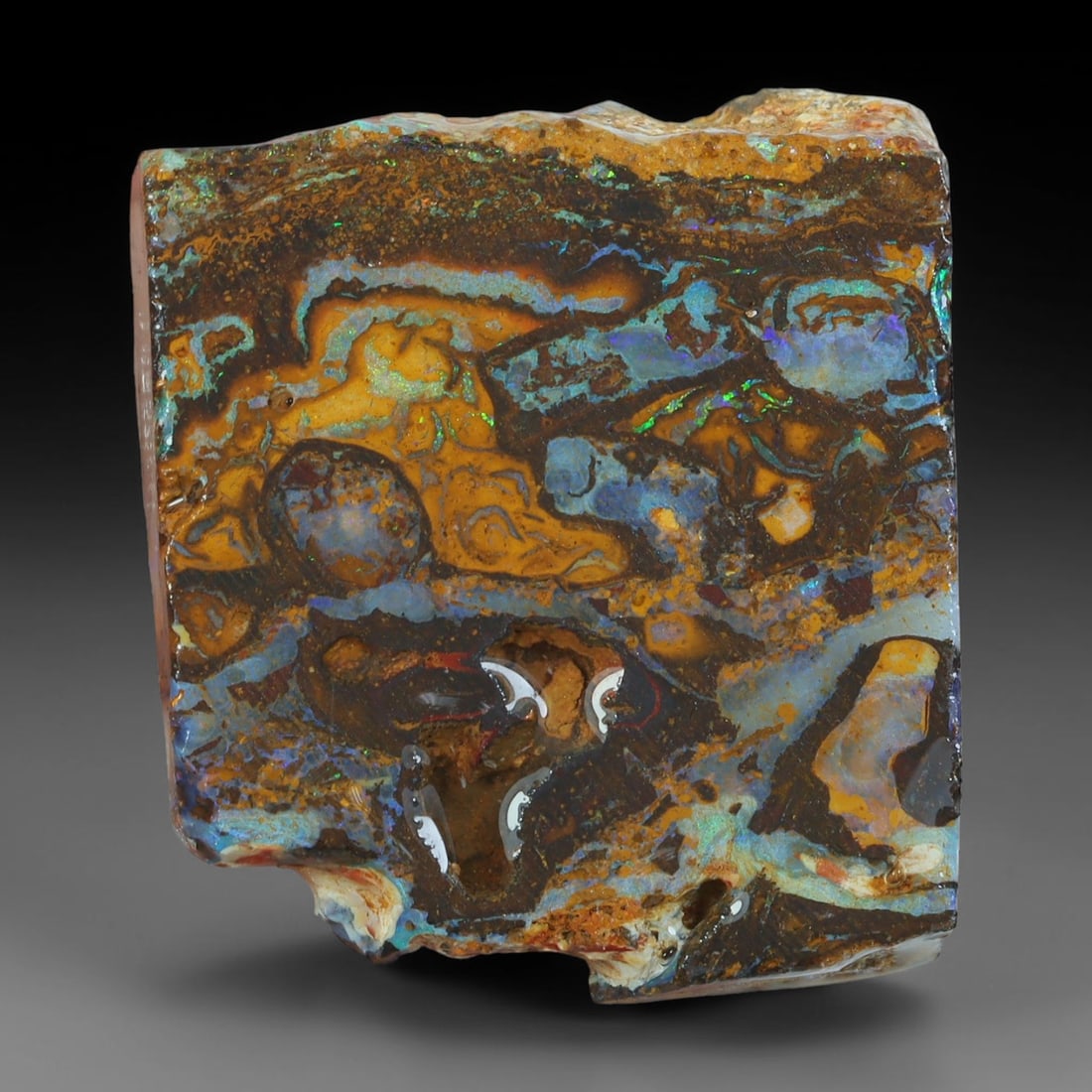 53.06ct Natural Australian Queensland Boulder Opal Sliced Slab Cutting Rough, 76AX: Natural sliced slab rough of Queensland boulder opal cutting grade, featuring rich color ironstone matrix with patterns. The face clearly reveals extensive opal veining and pocket formations running t
