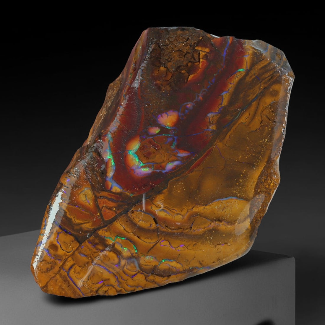 34.30ct Natural Australian Queensland Boulder Opal Sliced Slab Cutting Rough, 58AX: Natural sliced slab rough of Queensland boulder opal cutting grade, featuring rich color ironstone matrix with patterns. The face clearly reveals extensive opal veining and pocket formations running t