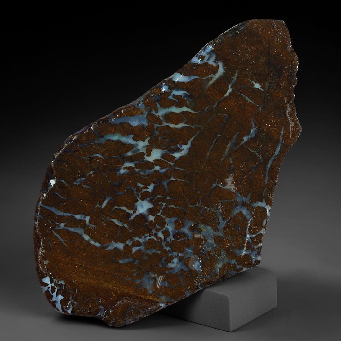 22.89ct Natural Australian Queensland Boulder Opal Sliced Slab Cutting Rough, 33YP: Natural sliced slab rough of Queensland boulder opal cutting grade, featuring rich color ironstone matrix with patterns. The face clearly reveals extensive opal veining and pocket formations running t